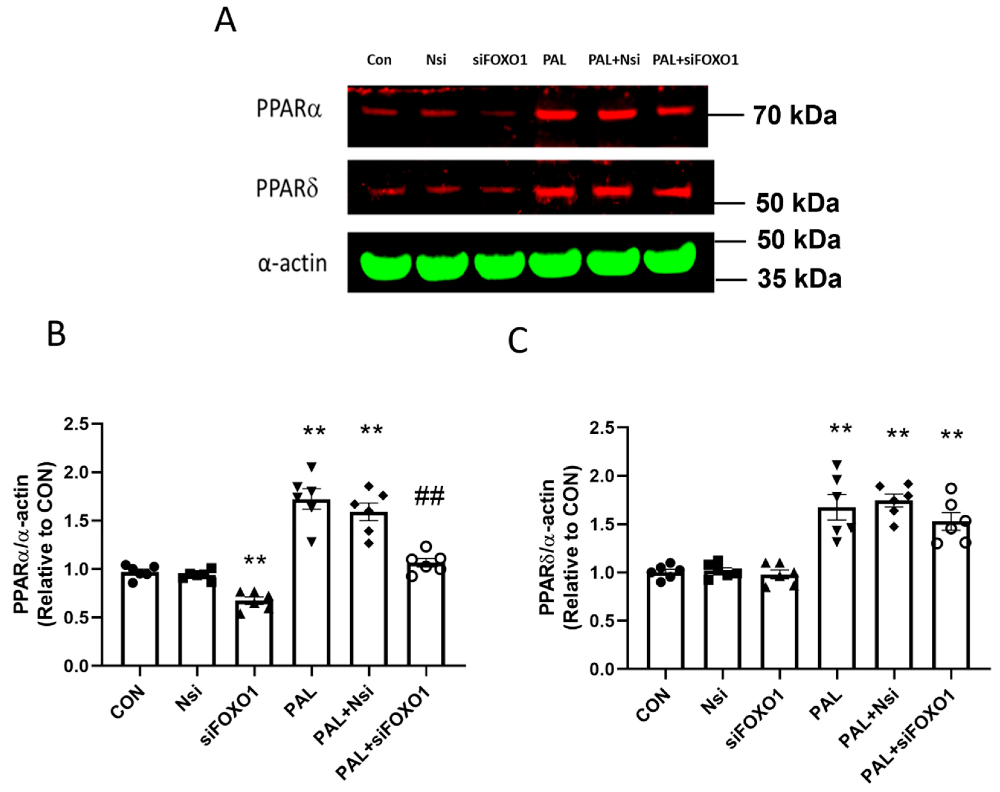 Biology 10 01098 g008