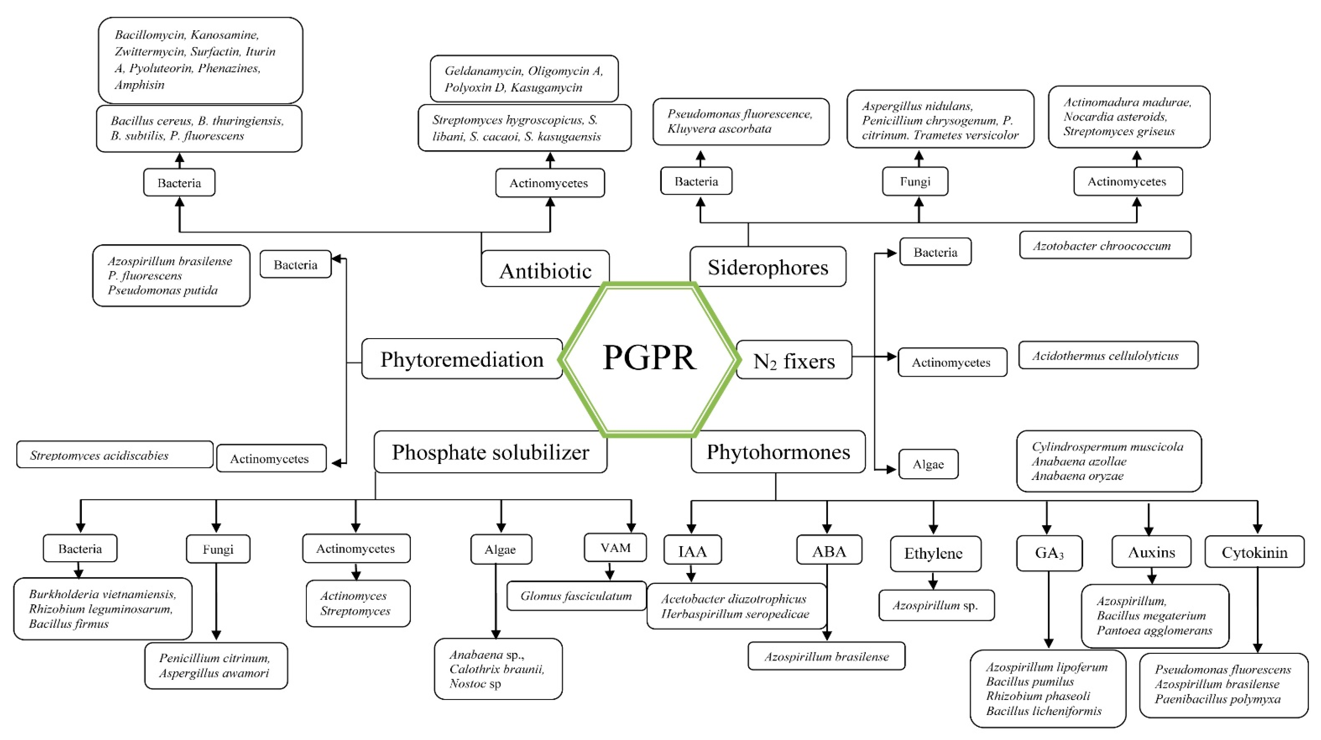 Biology 10 01111 g001