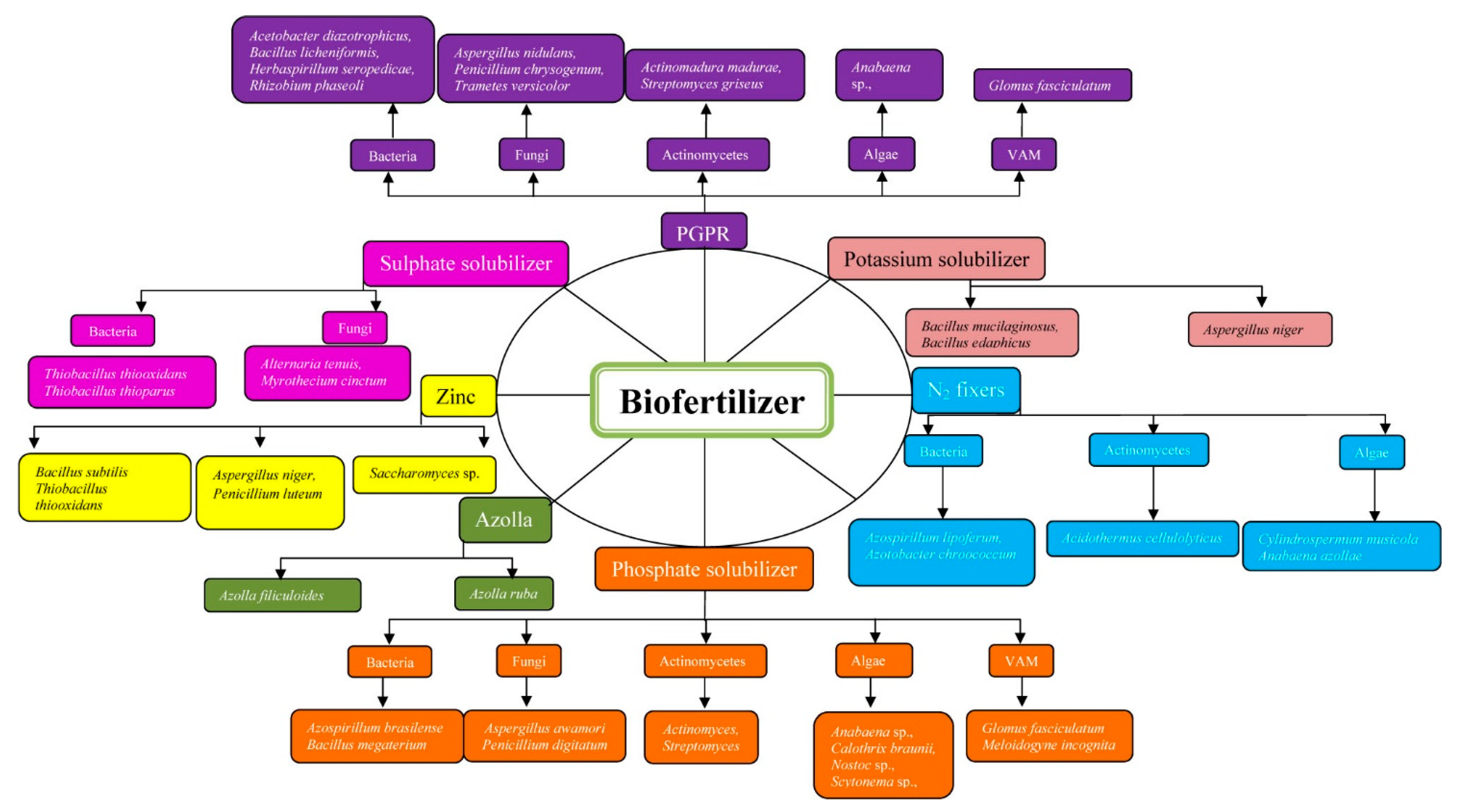Biology 10 01111 g002