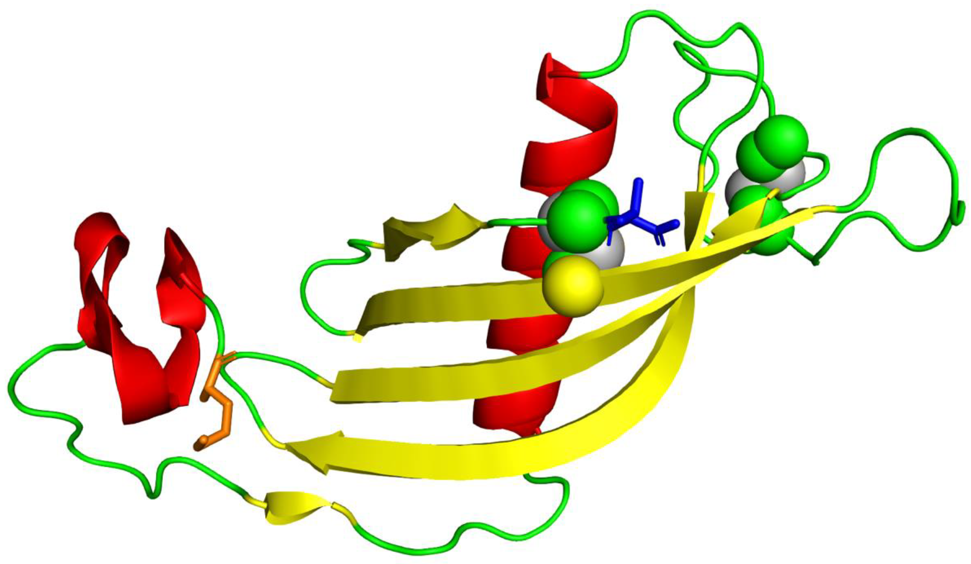 Биология 4 тома. Analysis of Proteins. Tear Protein Analysis. Refolding of proteinwq1*dxzw2a !z1. Refolding of proteinwq1*dxzw2a !z.