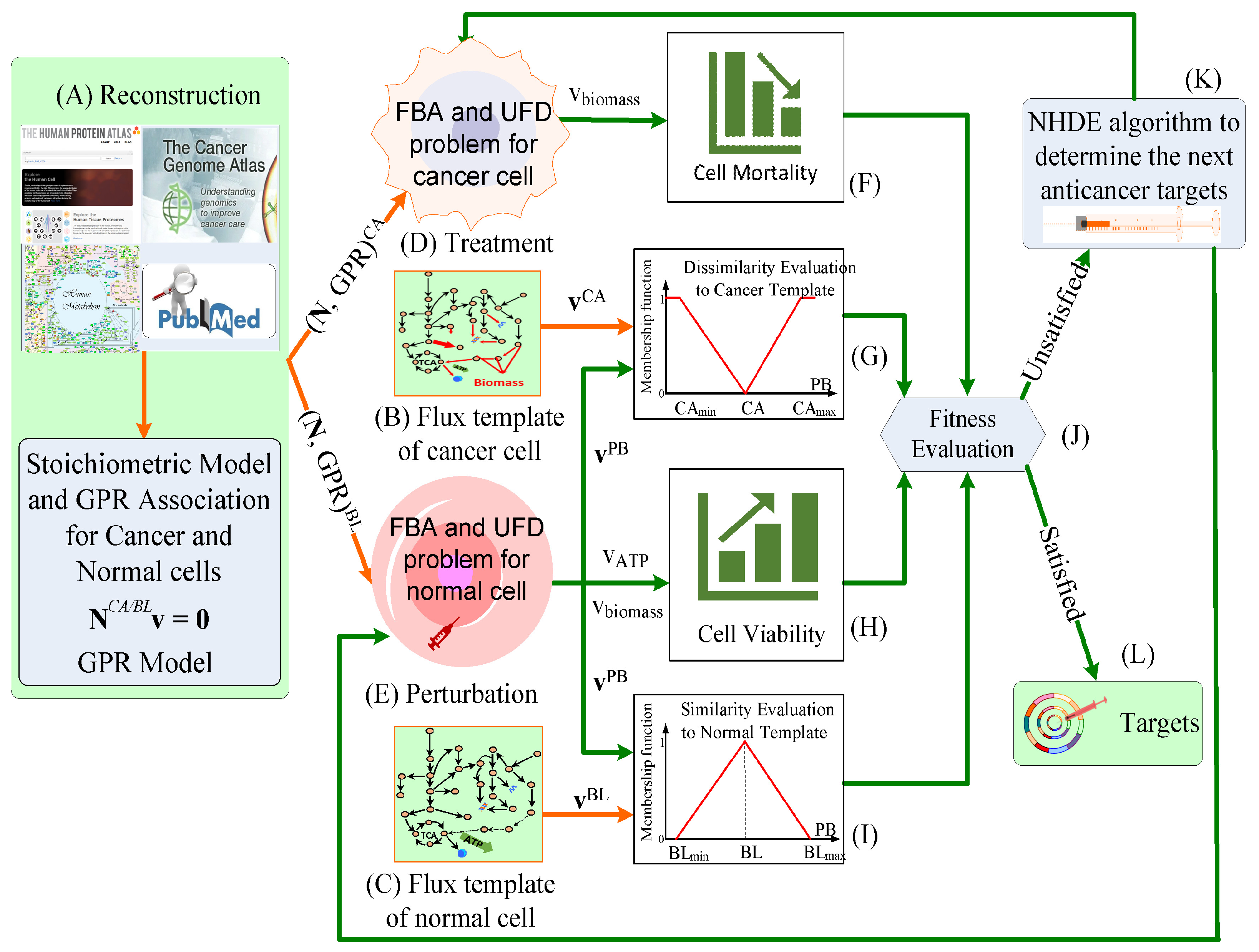 Biology 10 01115 g002