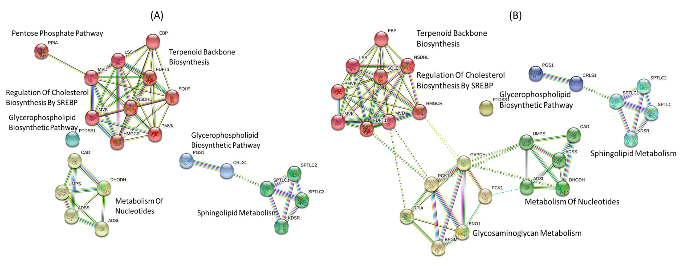Biology 10 01115 g004