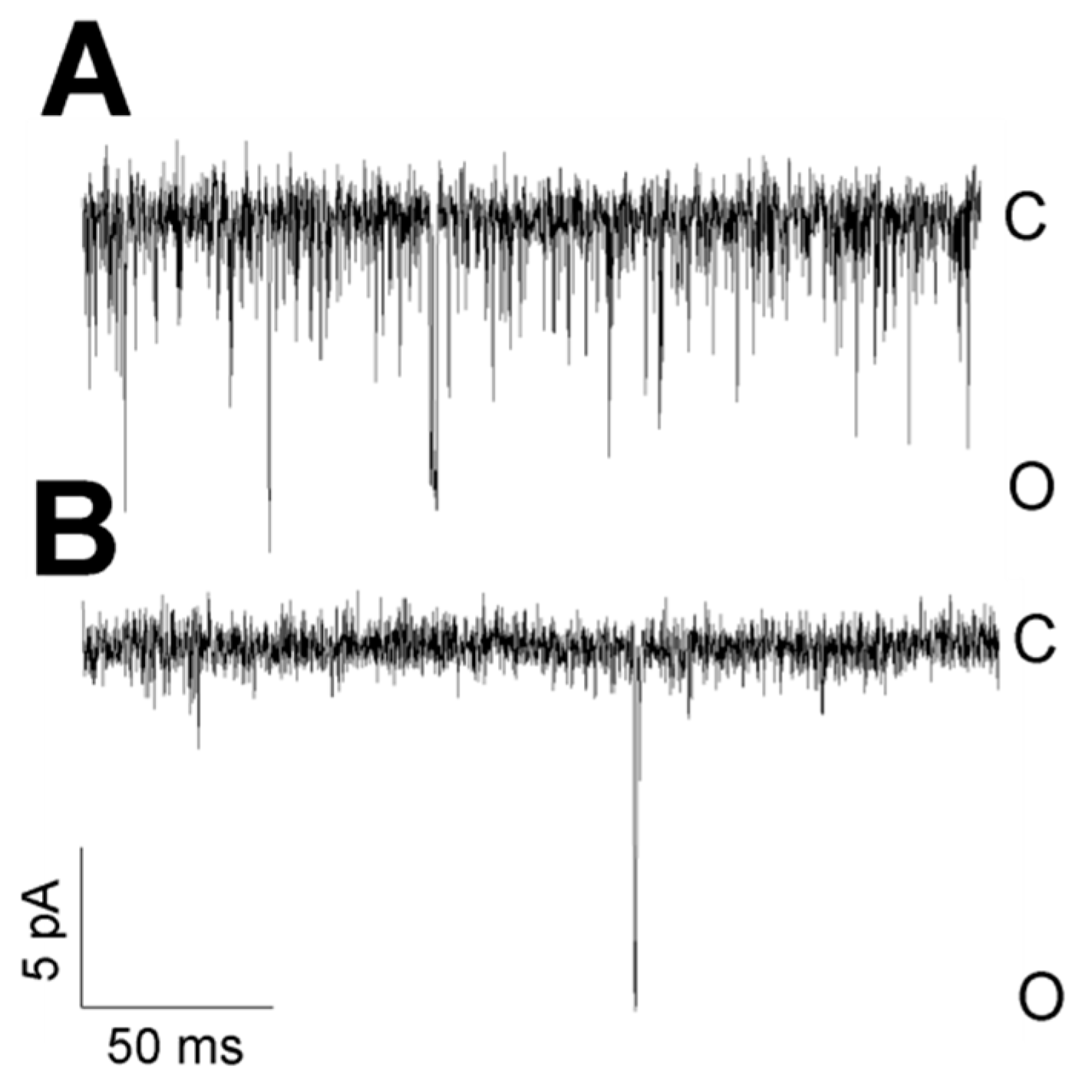 Biology 10 01119 g011