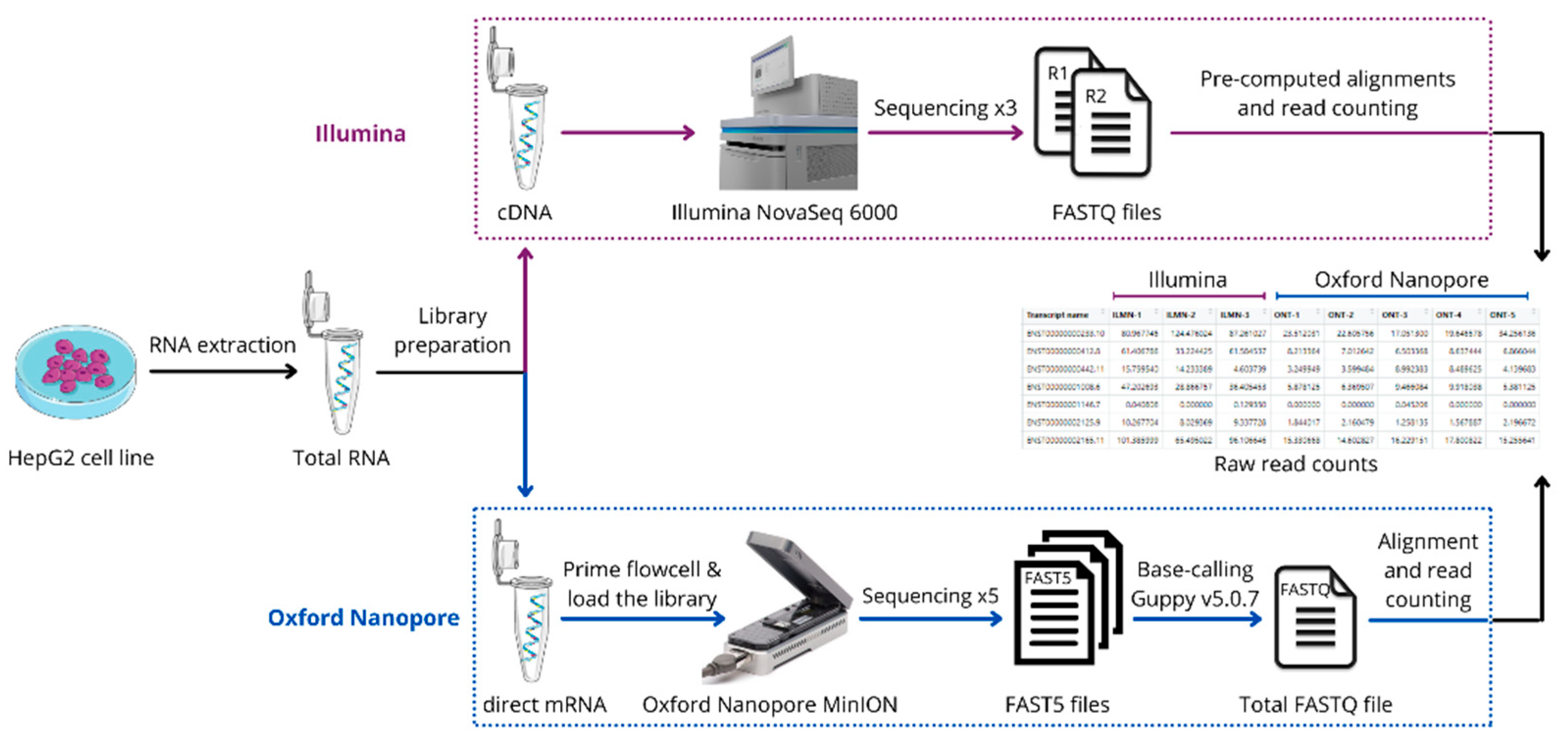 Biology 10 01131 g001