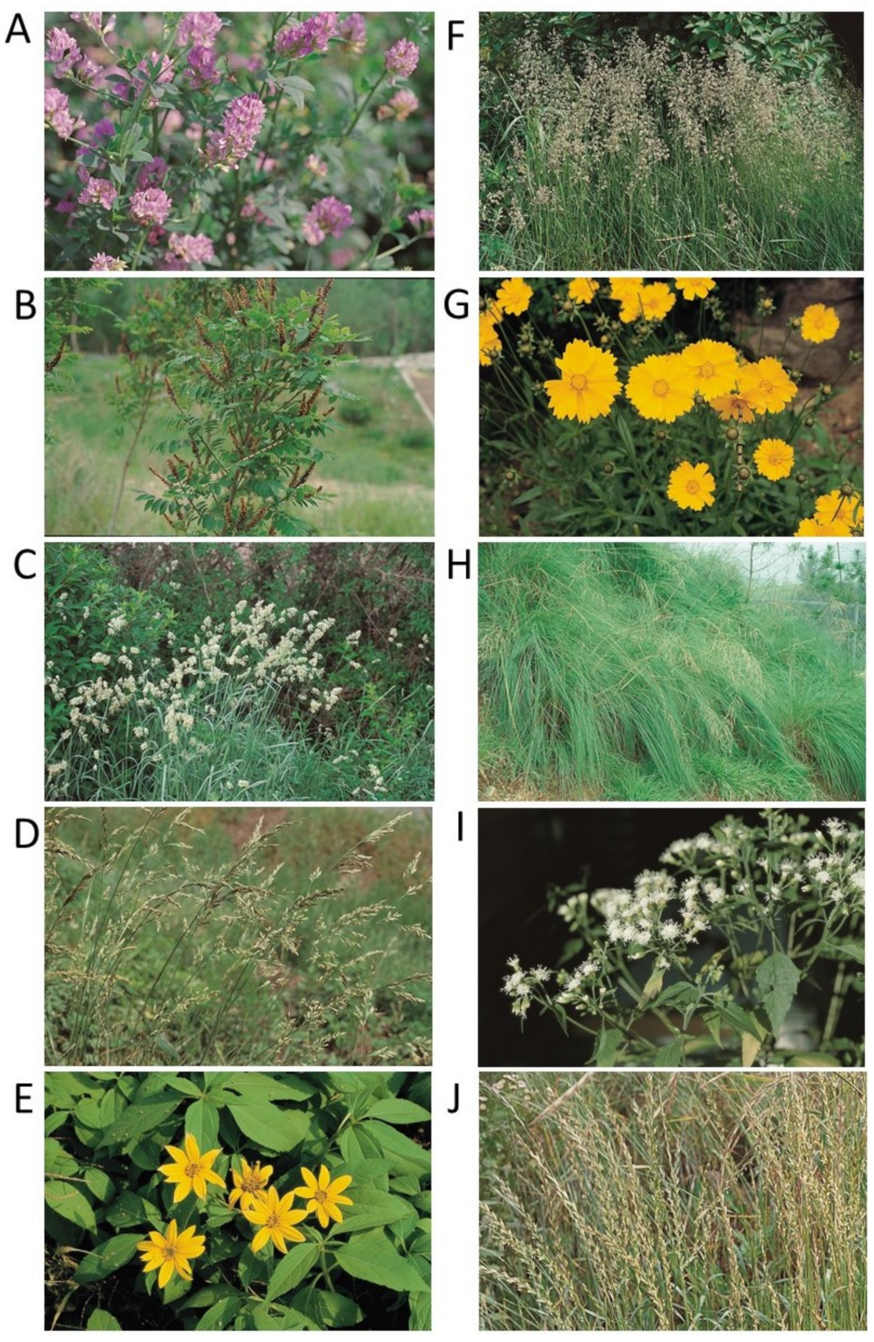 Biology 10 01169 g002