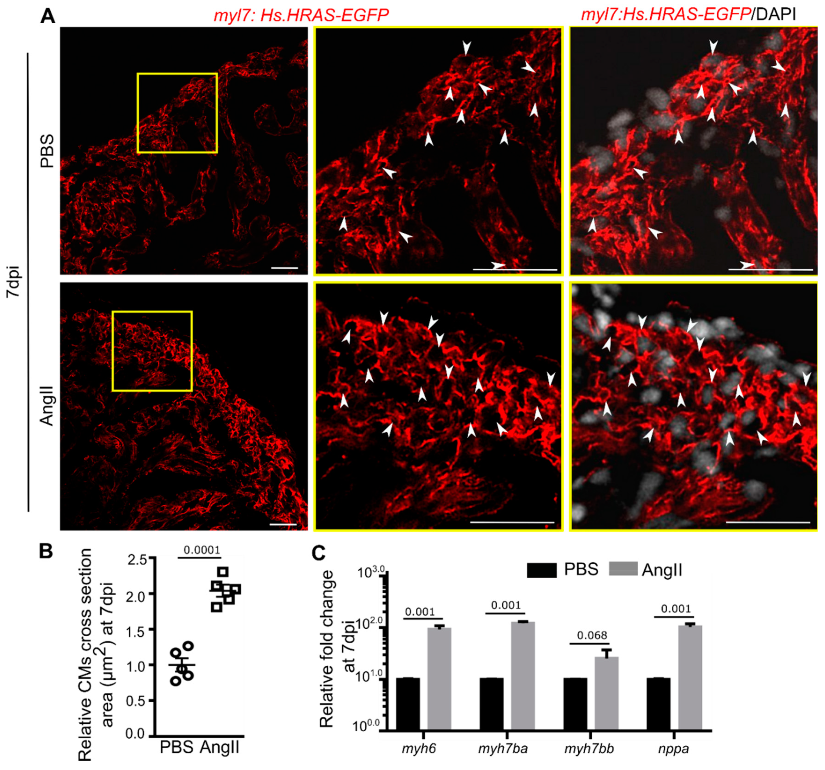 Biology 10 01177 g003
