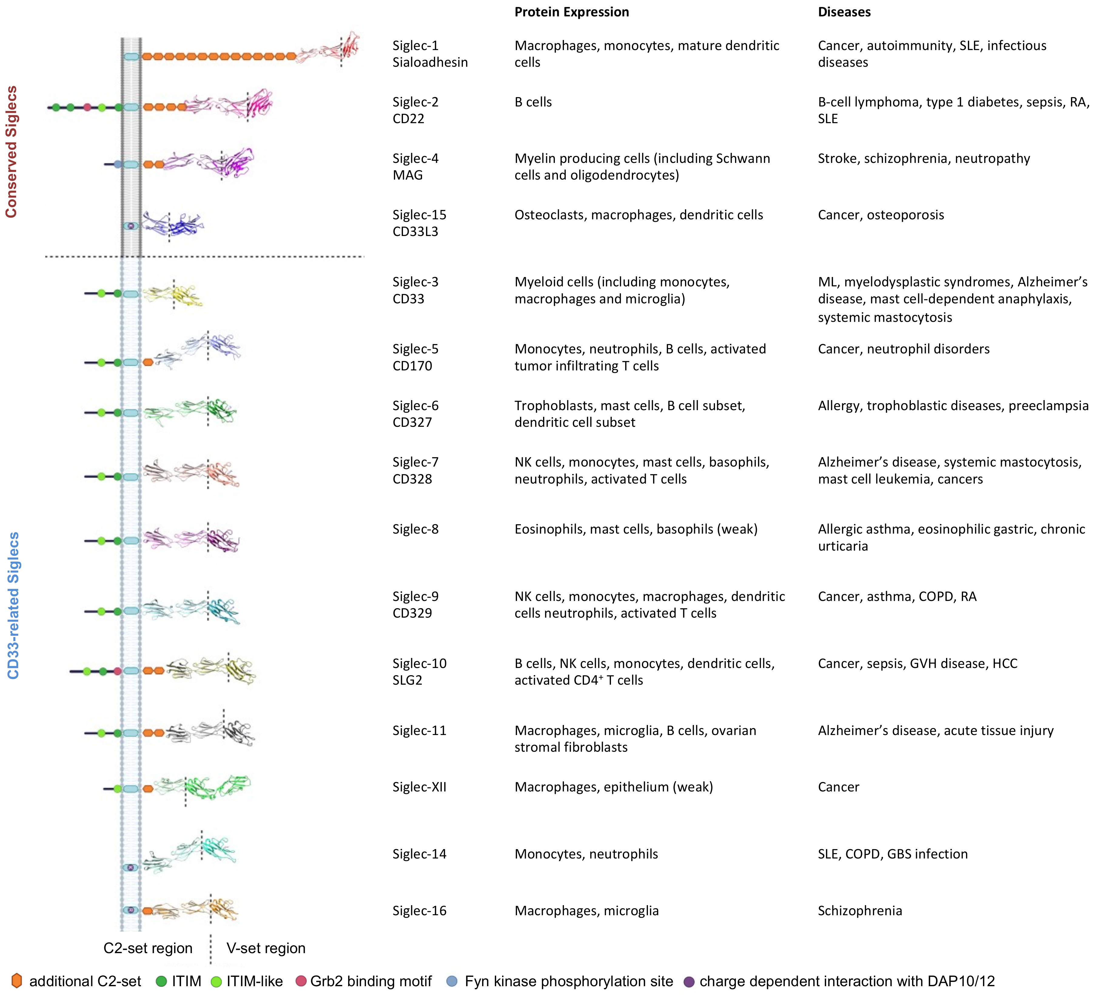 Biology 10 01178 g001