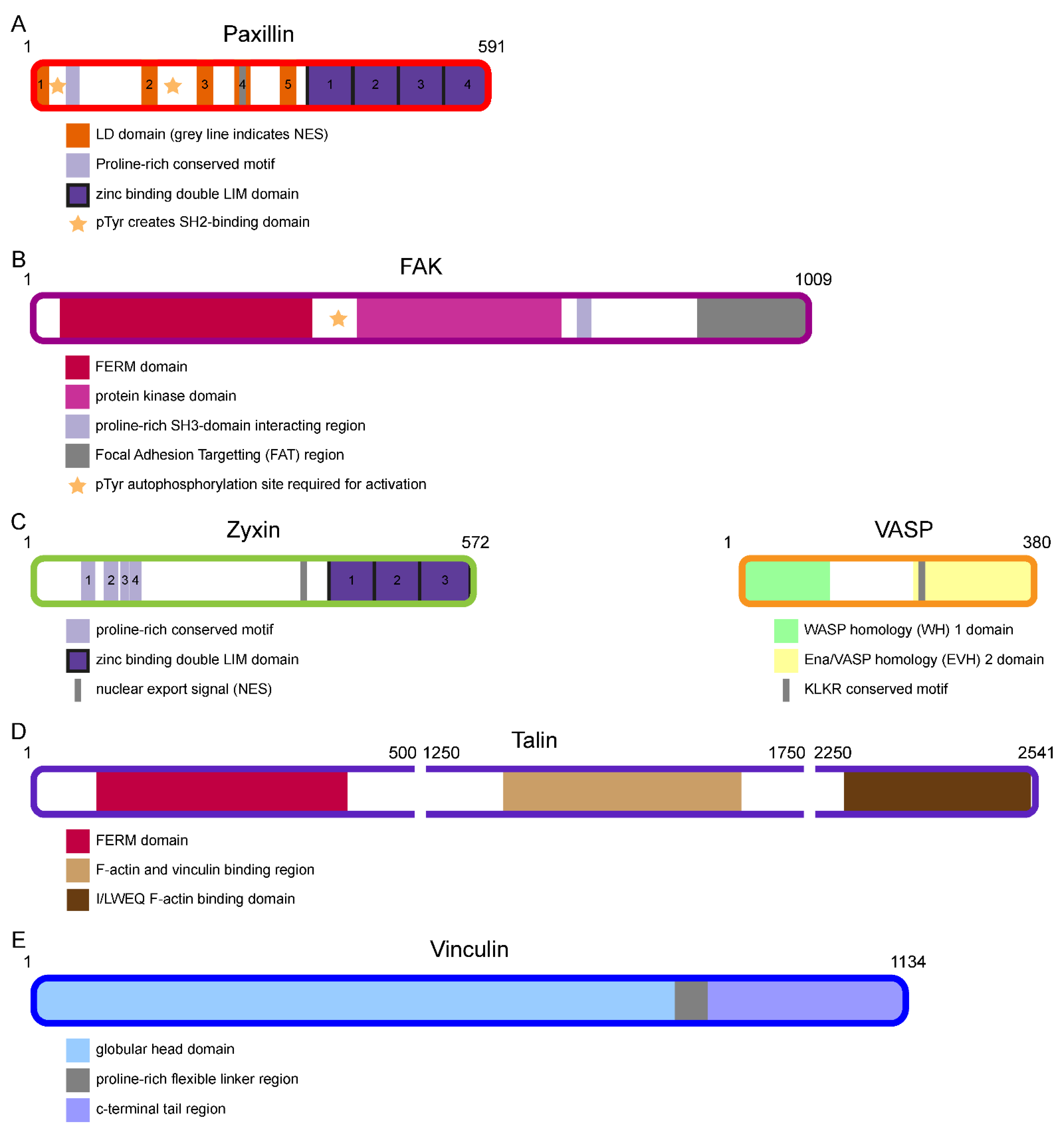 Biology 10 01189 g003