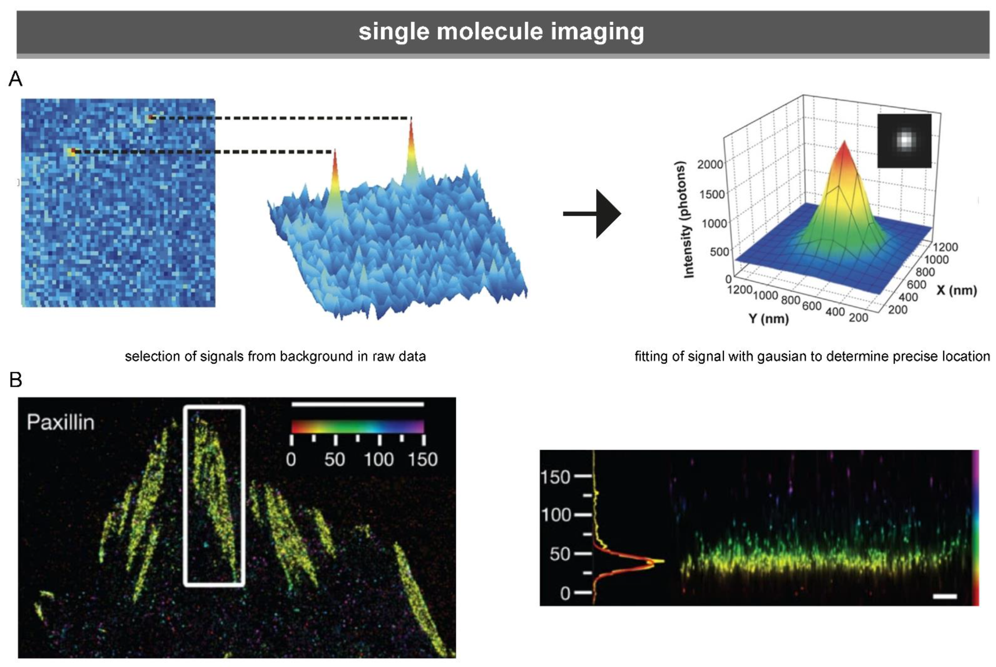 Biology 10 01189 g006