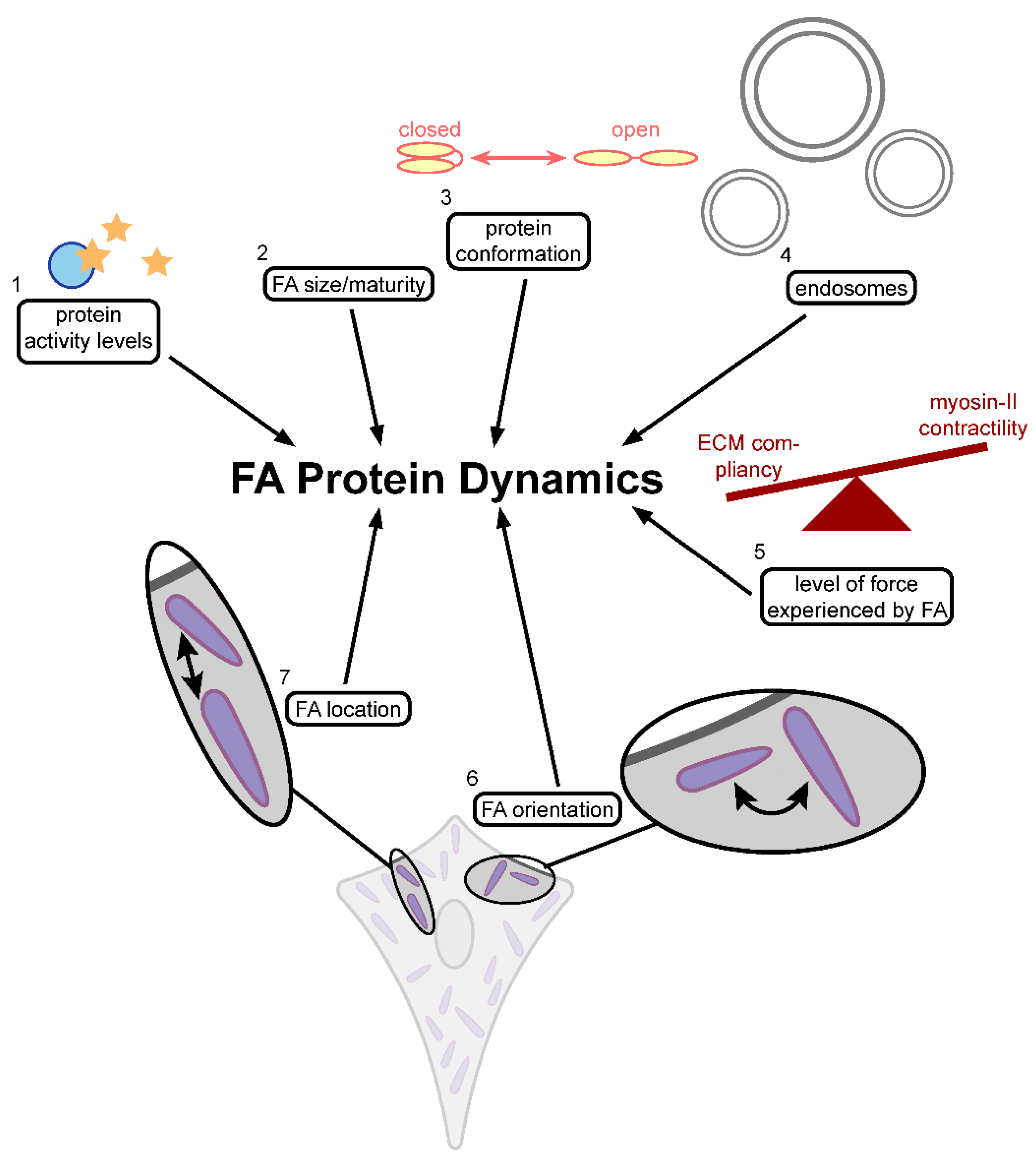 Biology 10 01189 g008