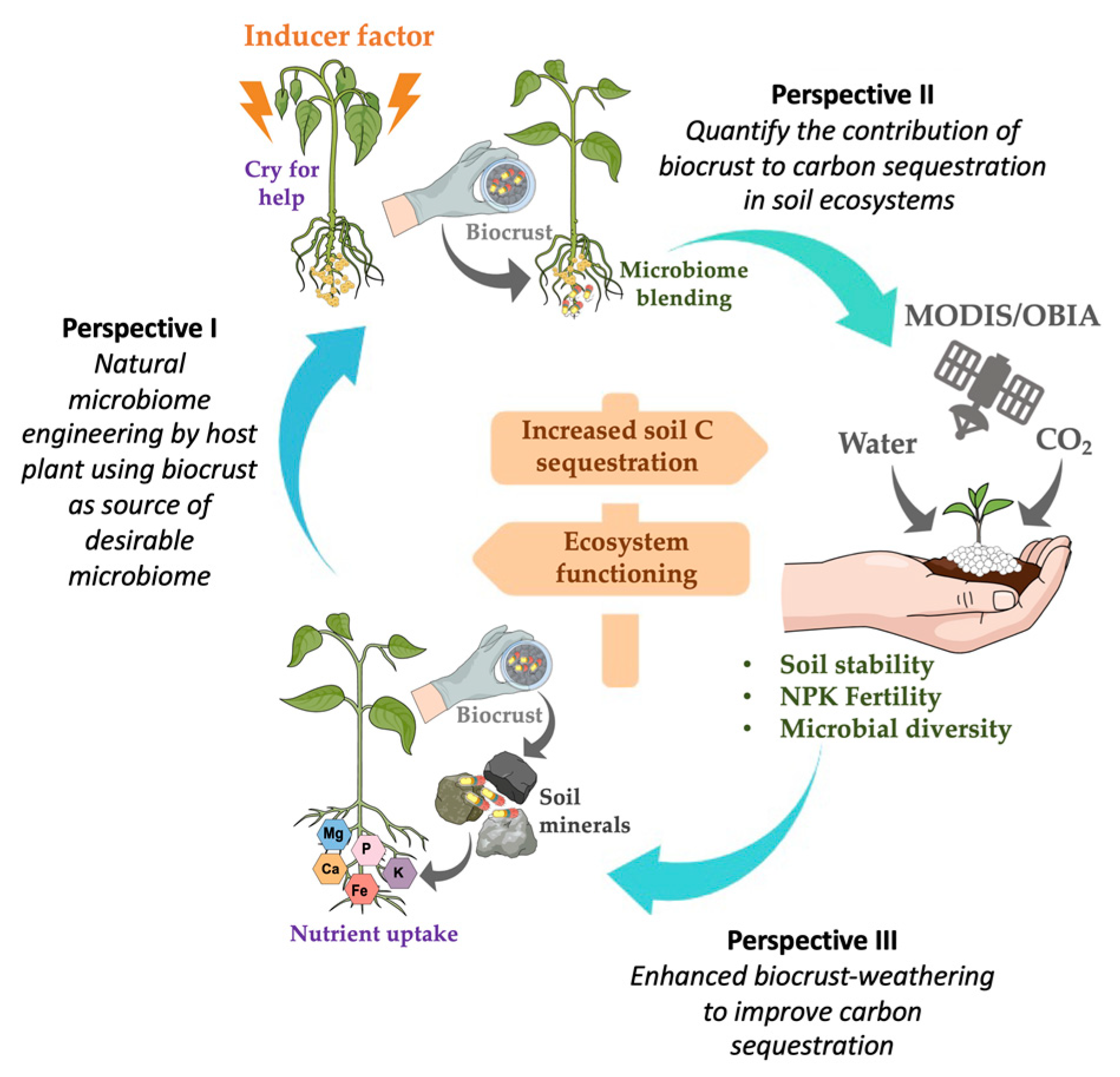 Biology 10 01190 g003
