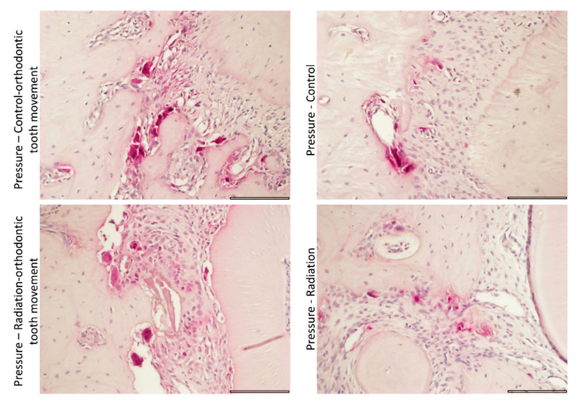 Biology 10 01203 g008