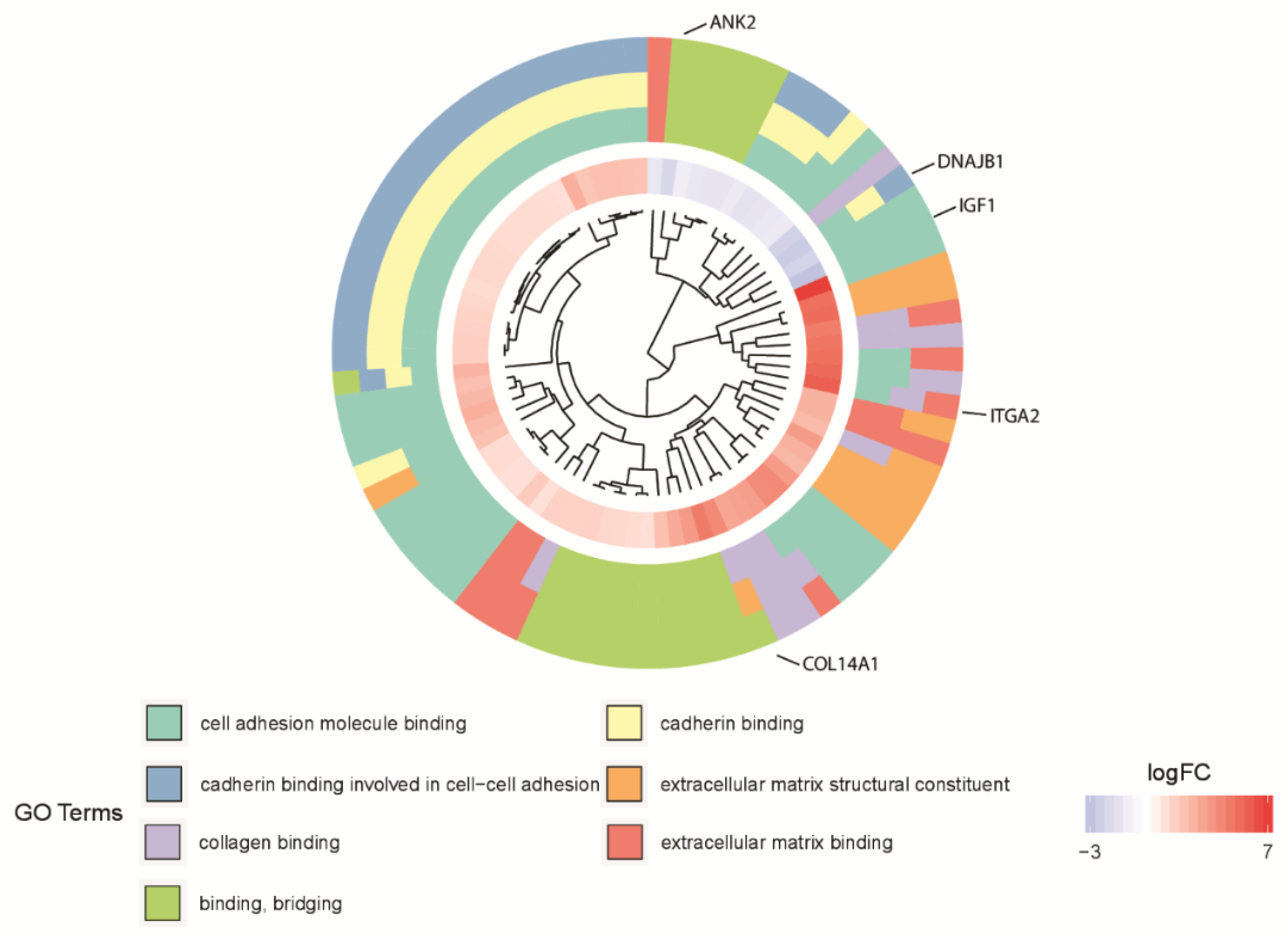 Biology 10 01214 g004