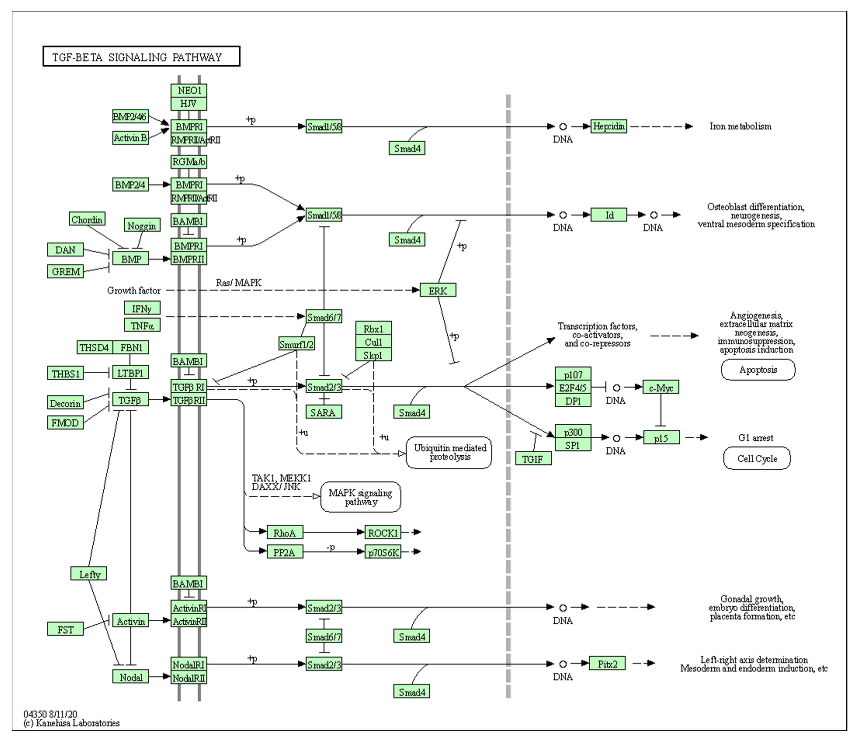 Biology 10 01214 g0a1