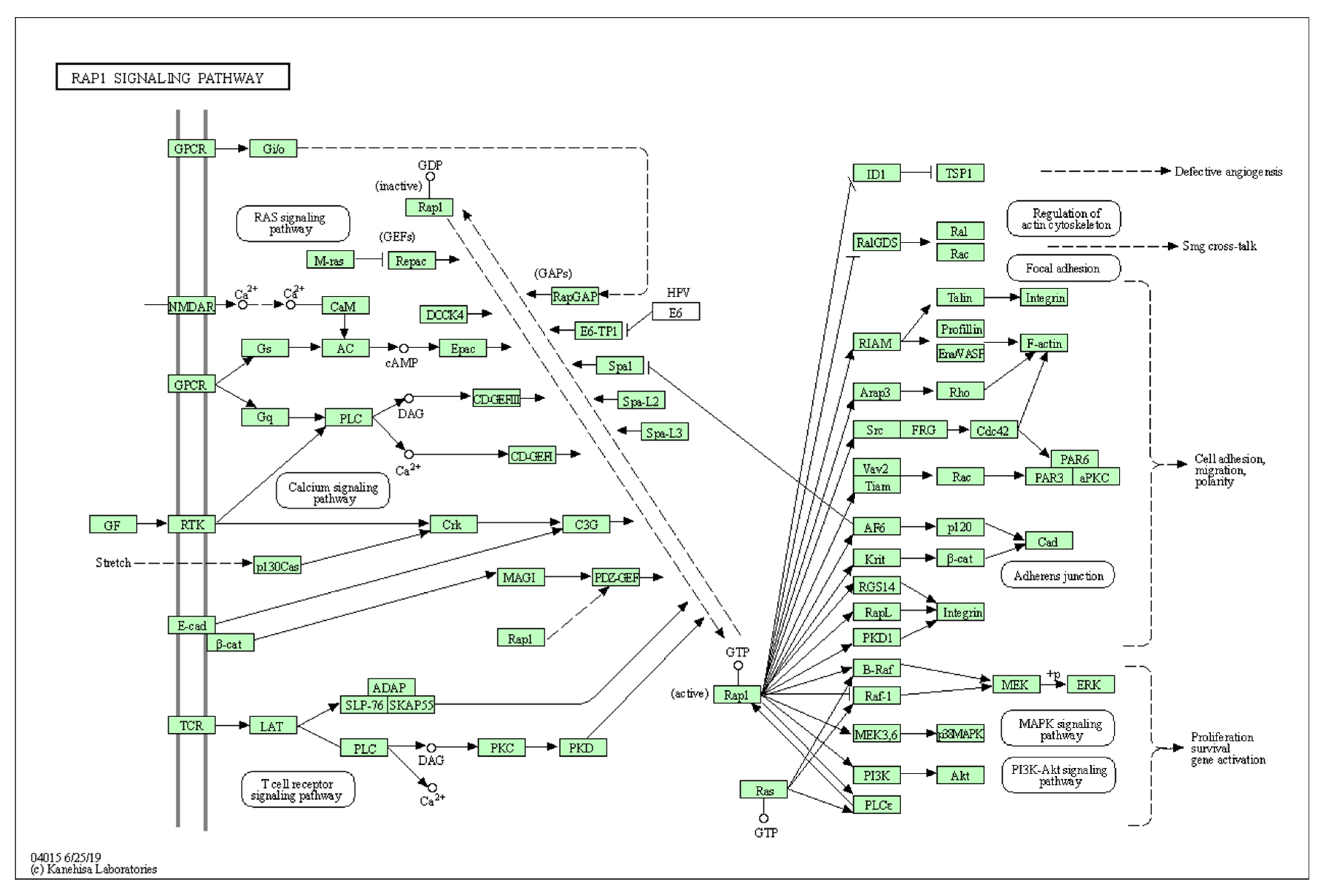 Biology 10 01214 g0a7