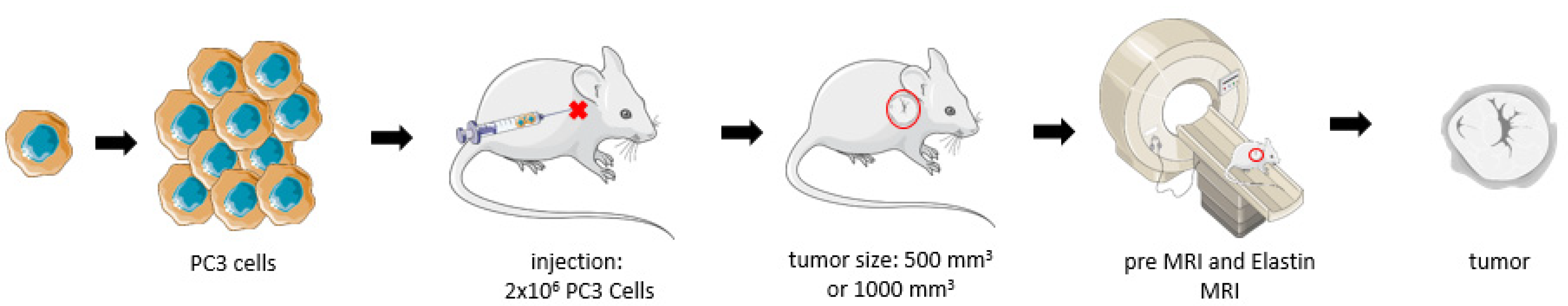 Biology 10 01217 g001