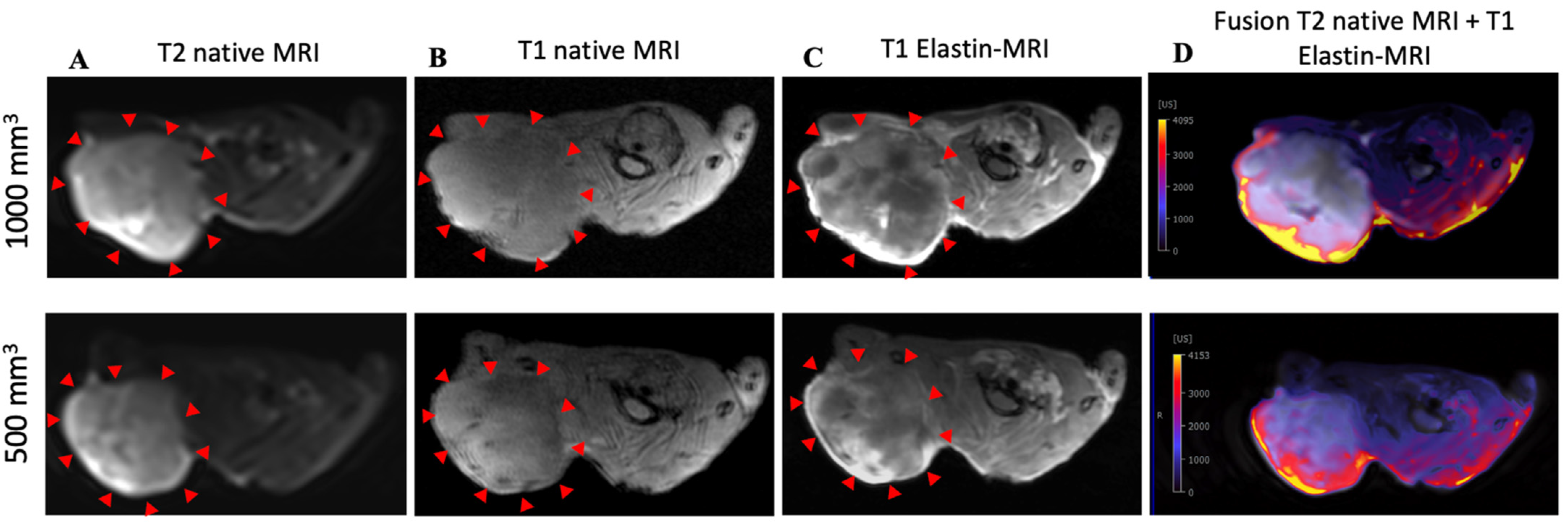 Biology 10 01217 g003