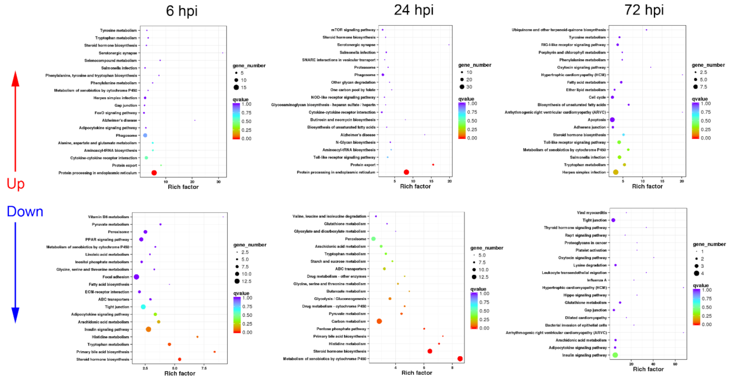 Biology 10 01218 g003 Biology 10 01218 g003