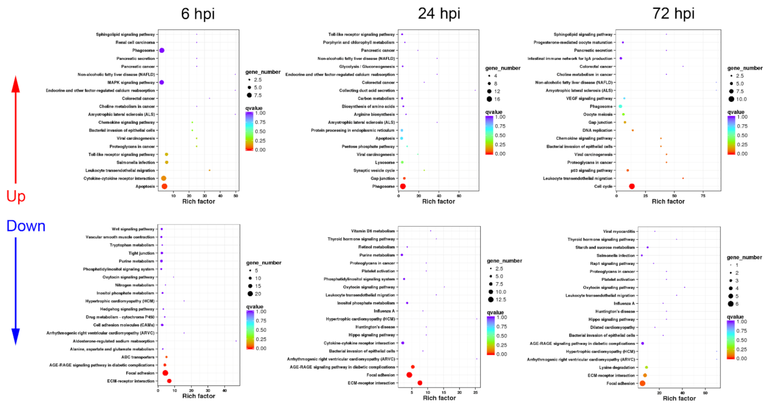 Biology 10 01218 g005 Biology 10 01218 g005