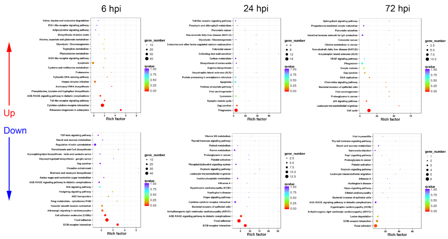 Biology 10 01218 g006 Biology 10 01218 g006