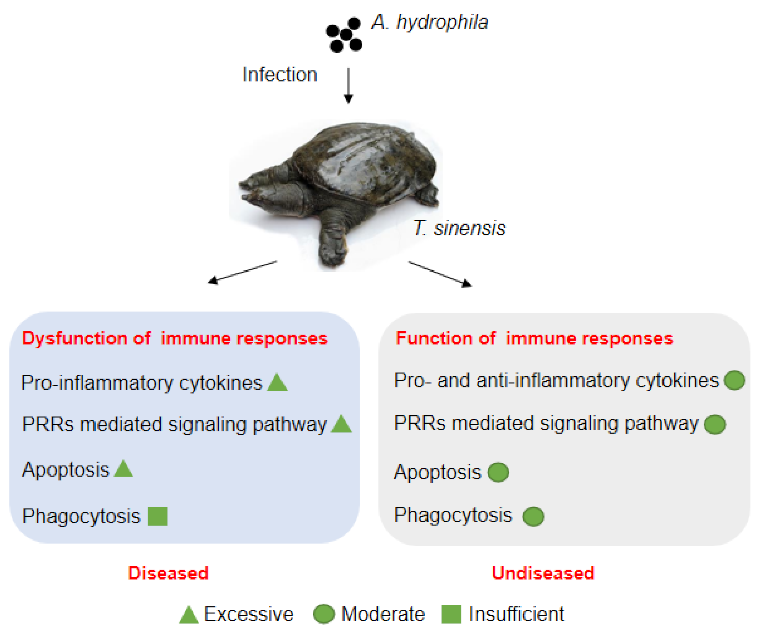 Biology 10 01218 g008 Biology 10 01218 g008