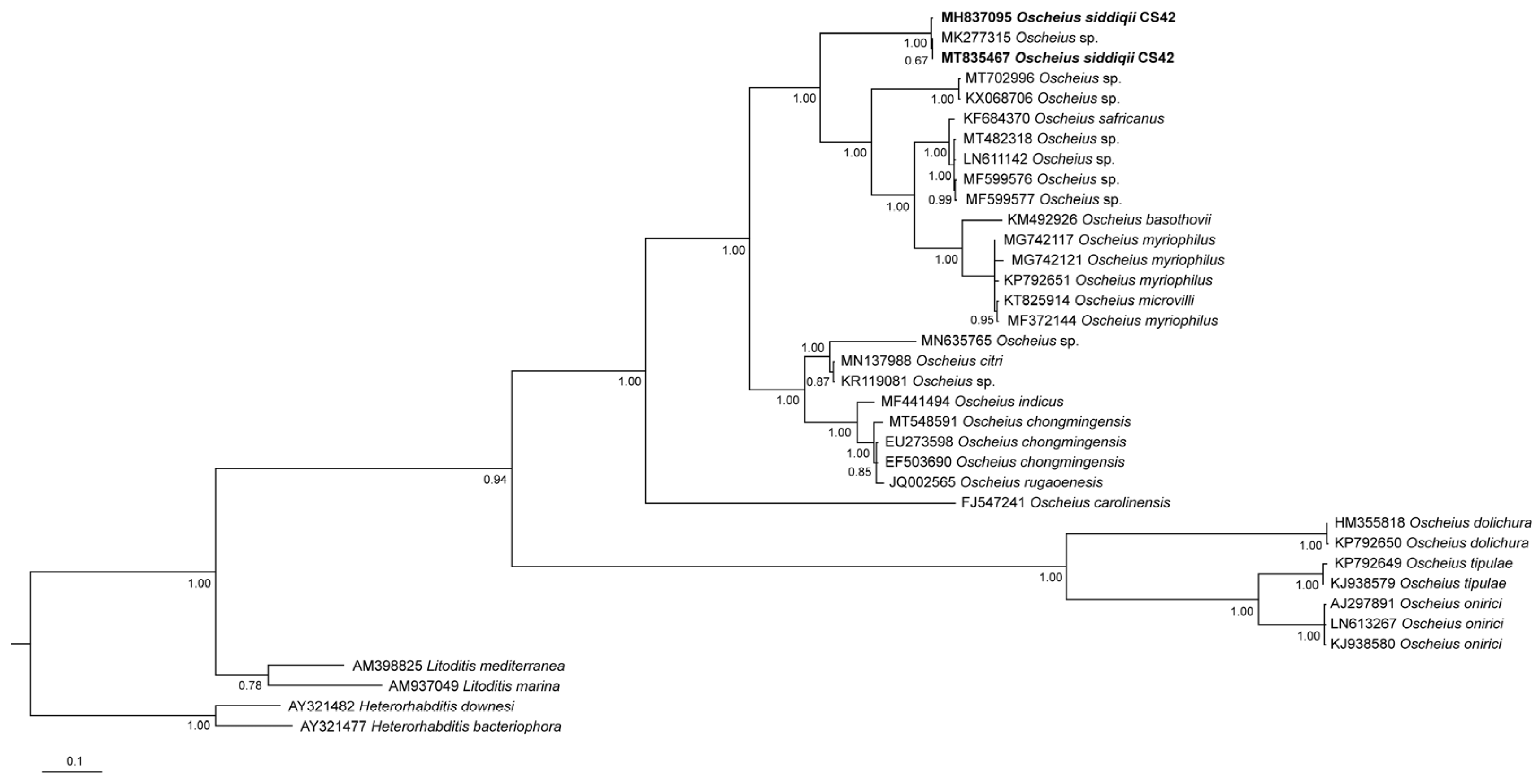 Biology 10 01239 g005