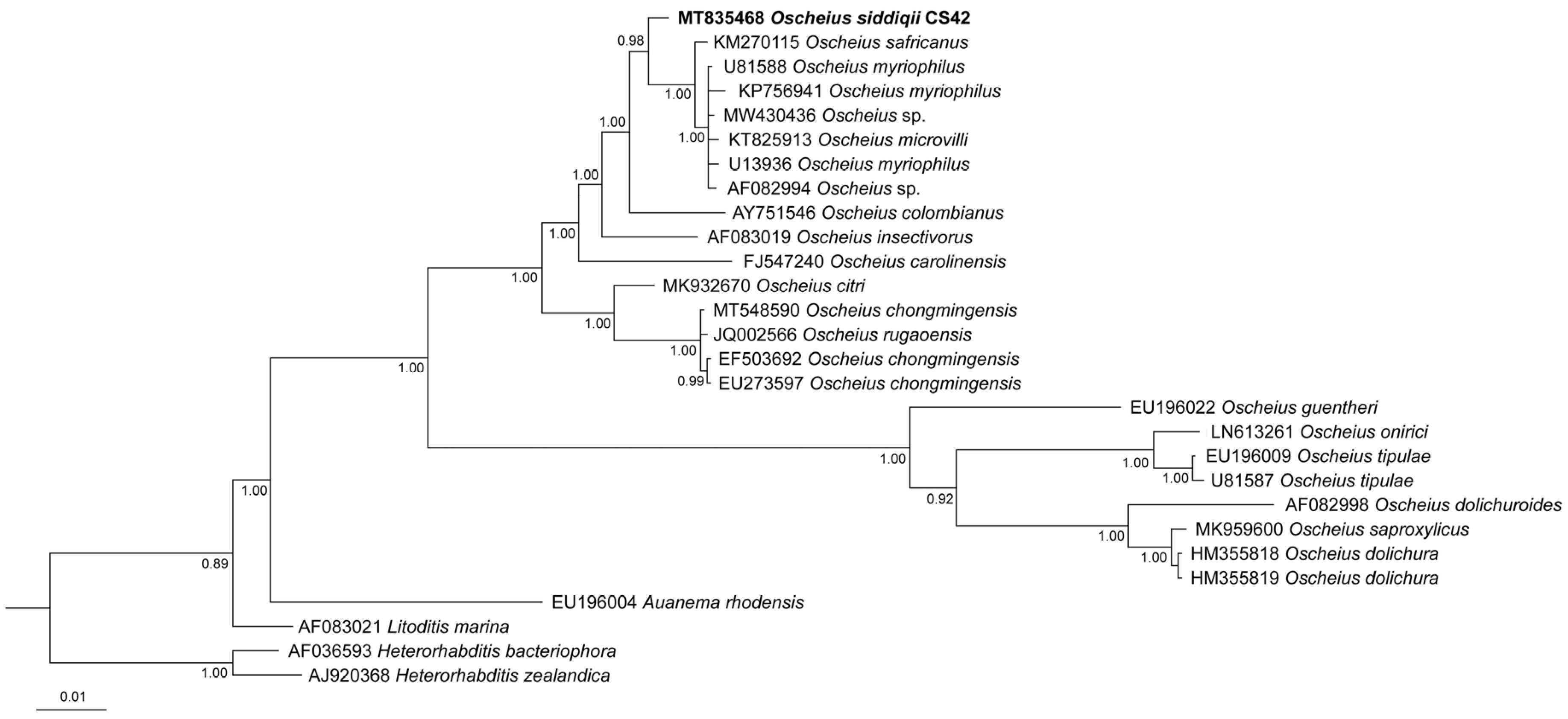 Biology 10 01239 g006