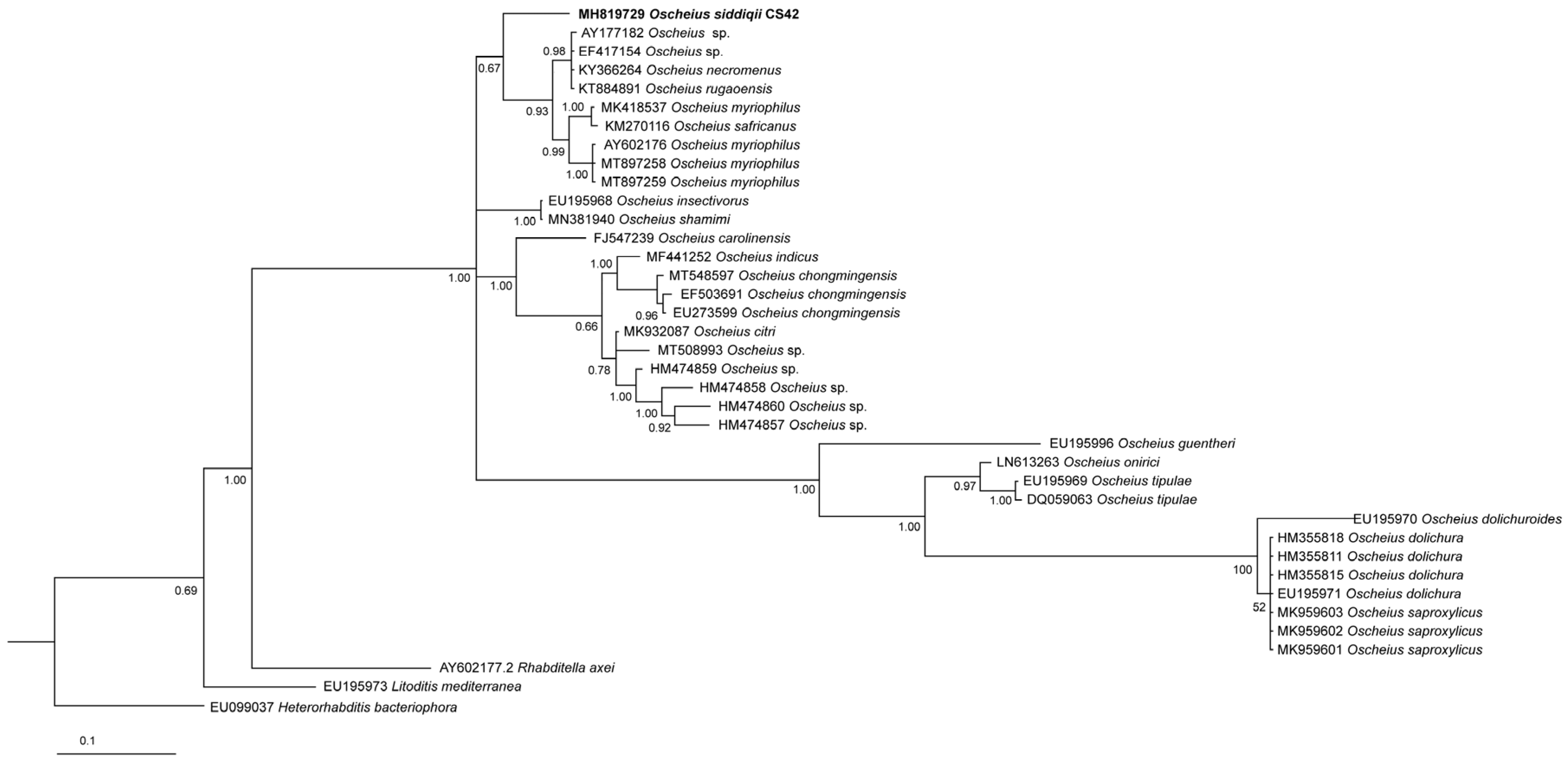 Biology 10 01239 g007