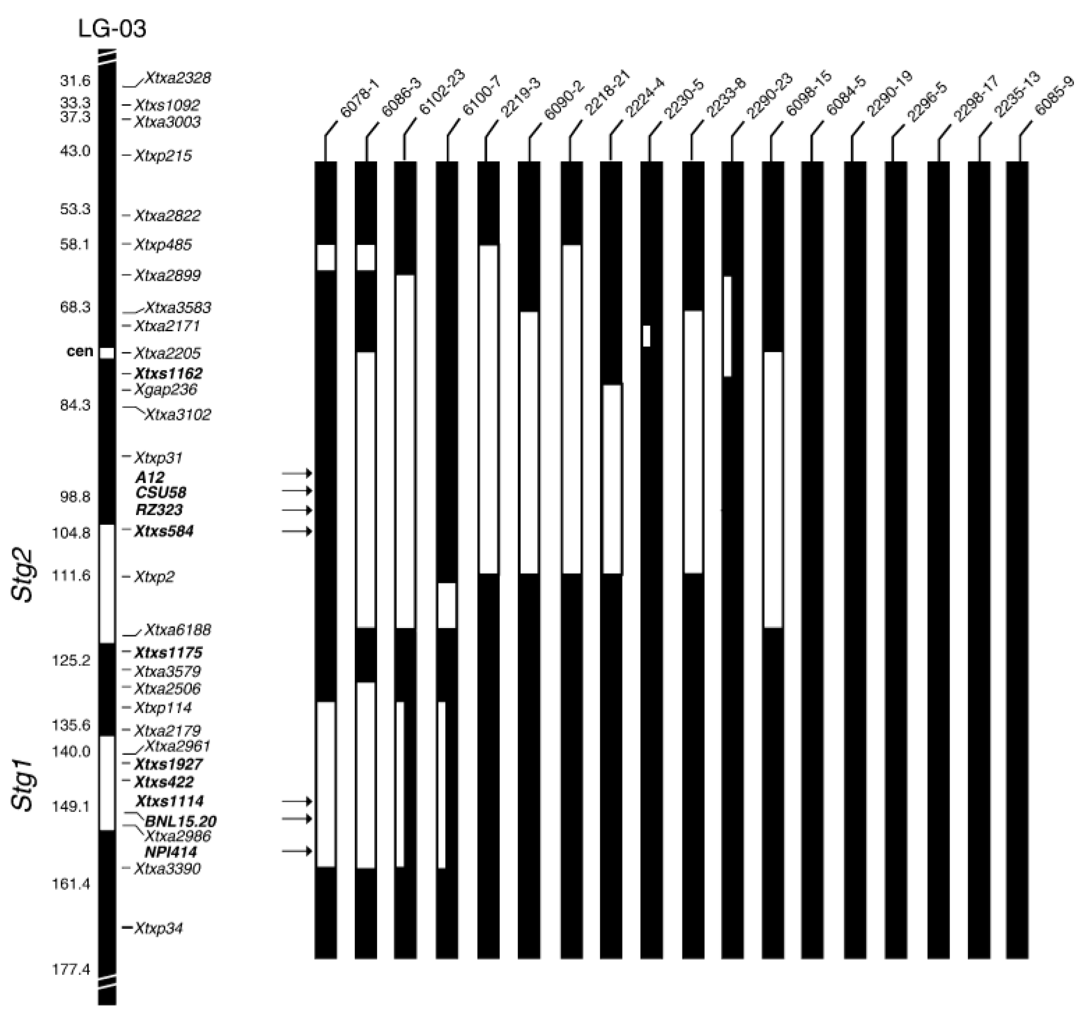 Biology 10 01249 g002
