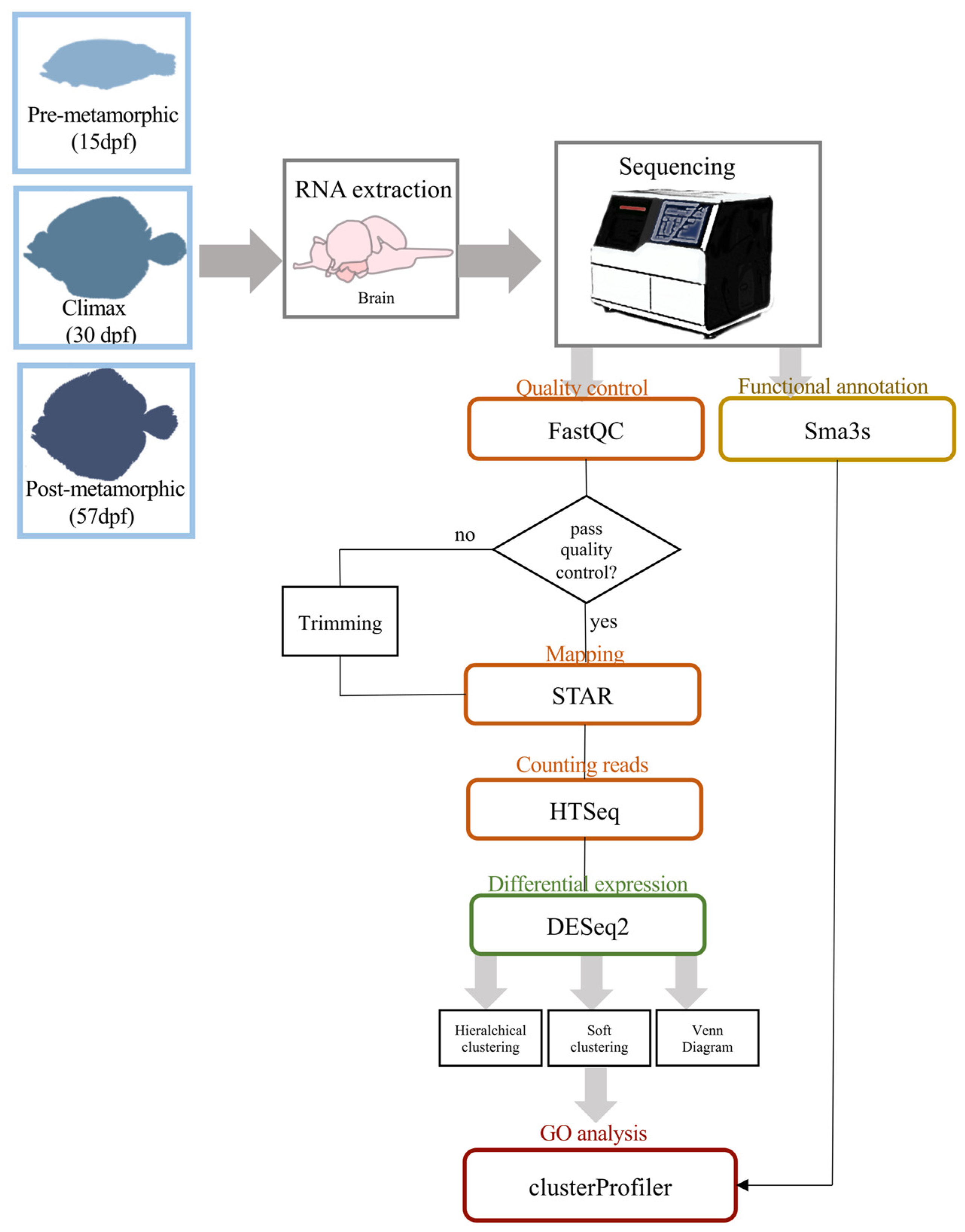 Biology 10 01256 g002 Biology 10 01256 g002