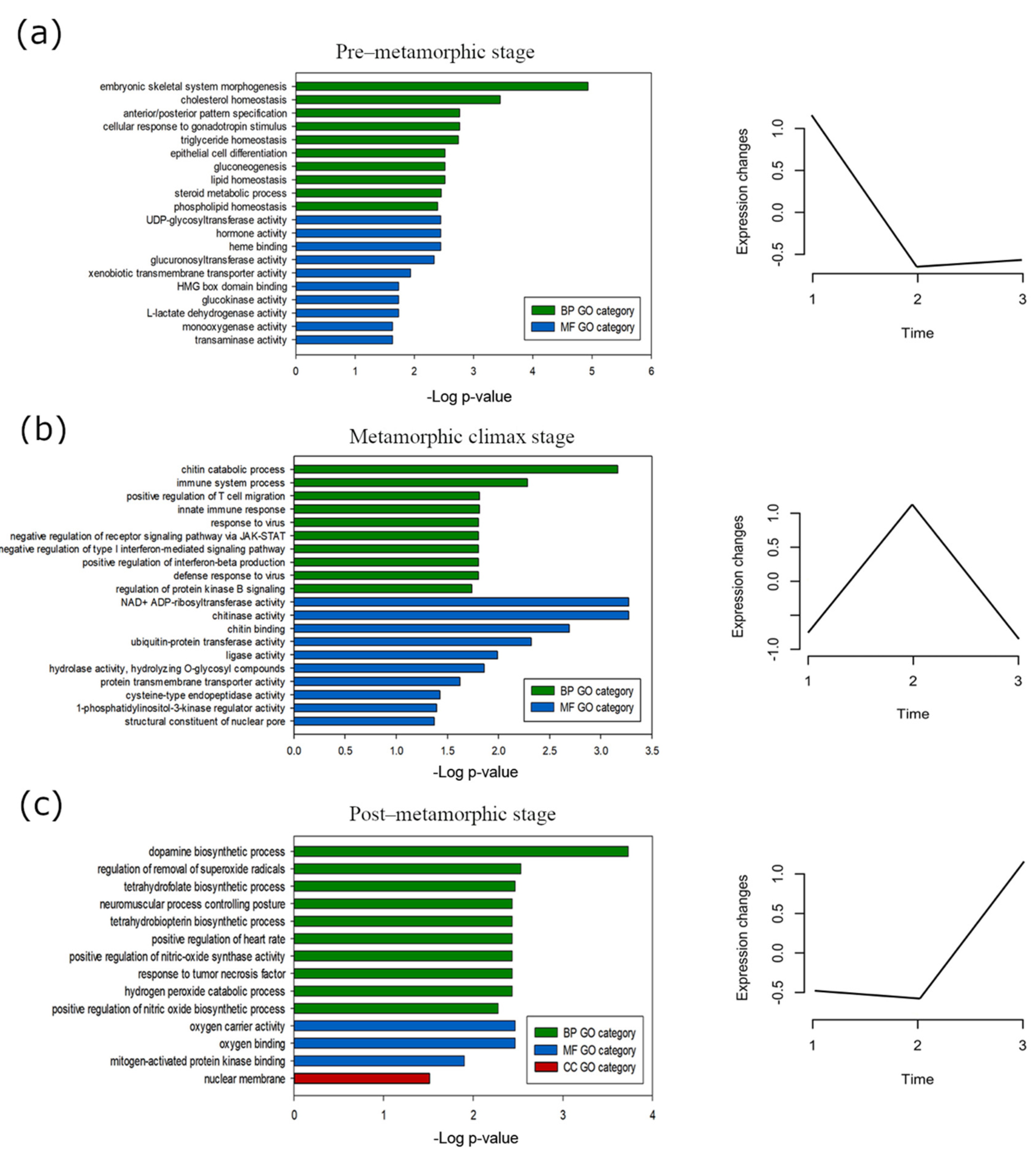 Biology 10 01256 g006 Biology 10 01256 g006