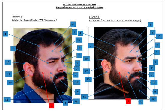 7 Epic face pfps ideas