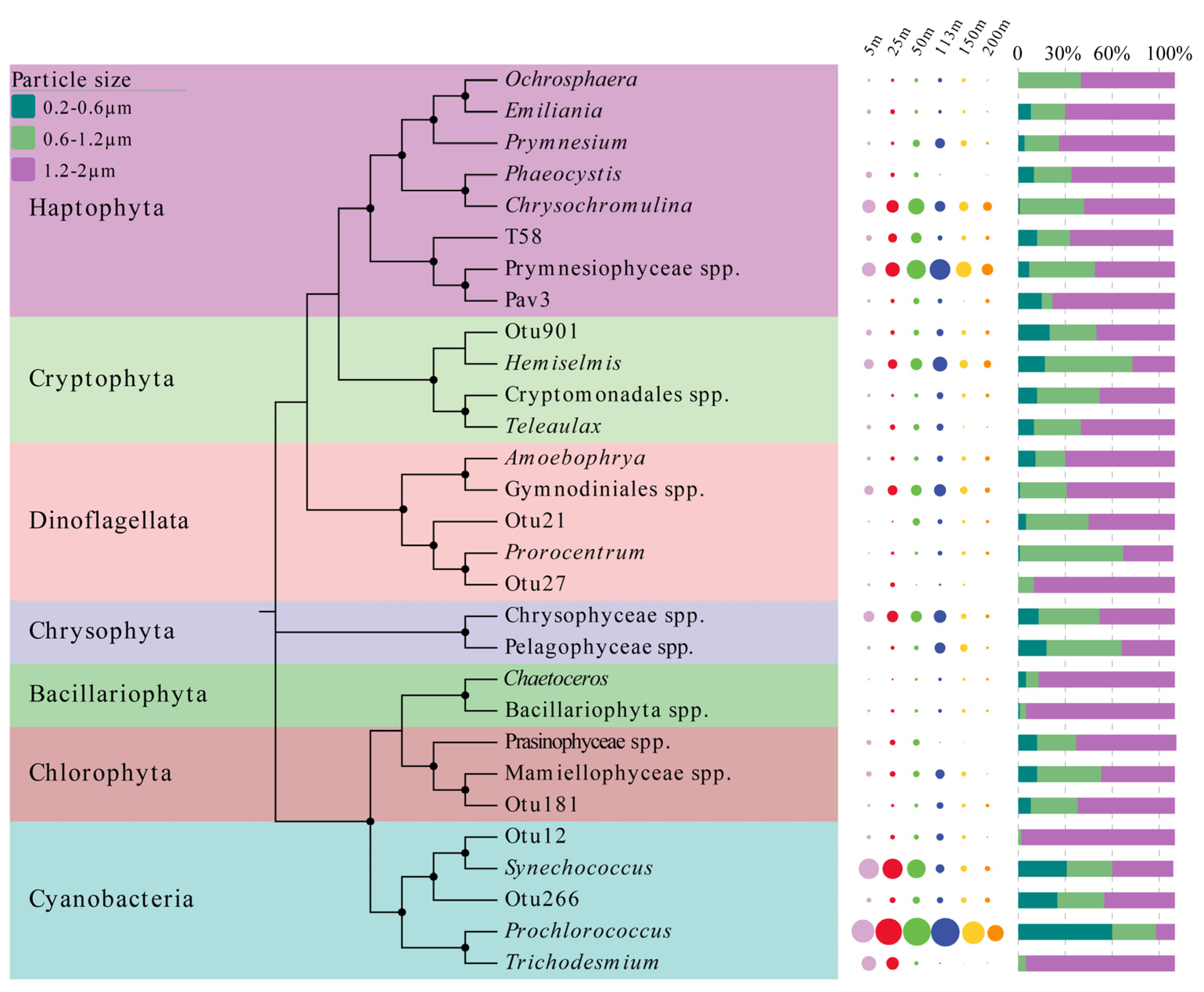 Biology 10 01280 g008