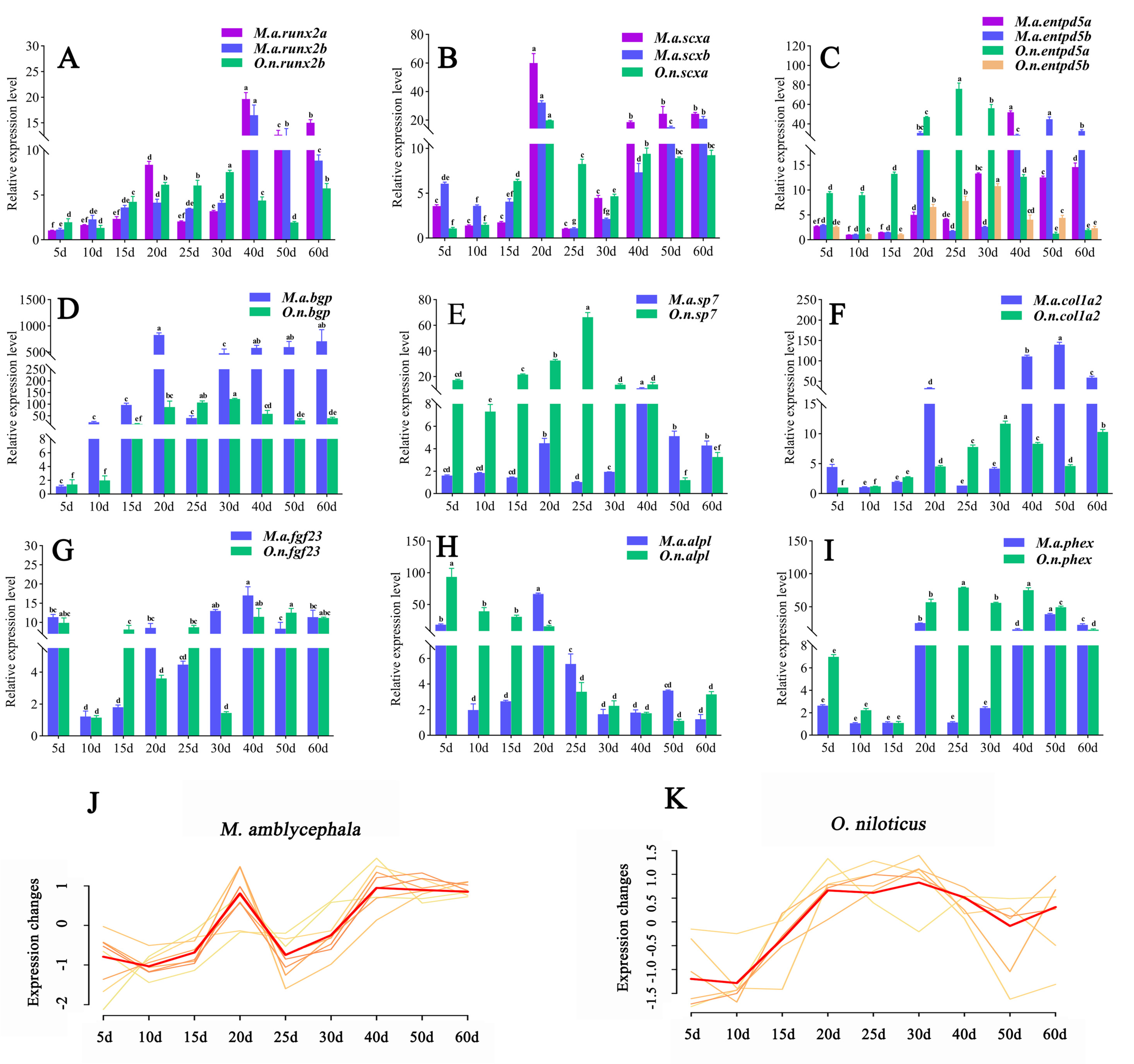 Biology 10 01311 g005 Biology 10 01311 g005