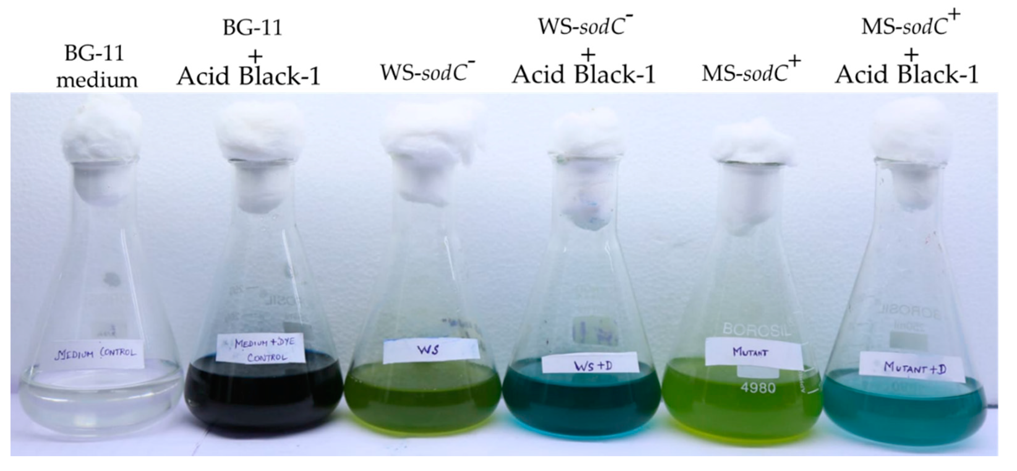 Biology 10 01313 g002