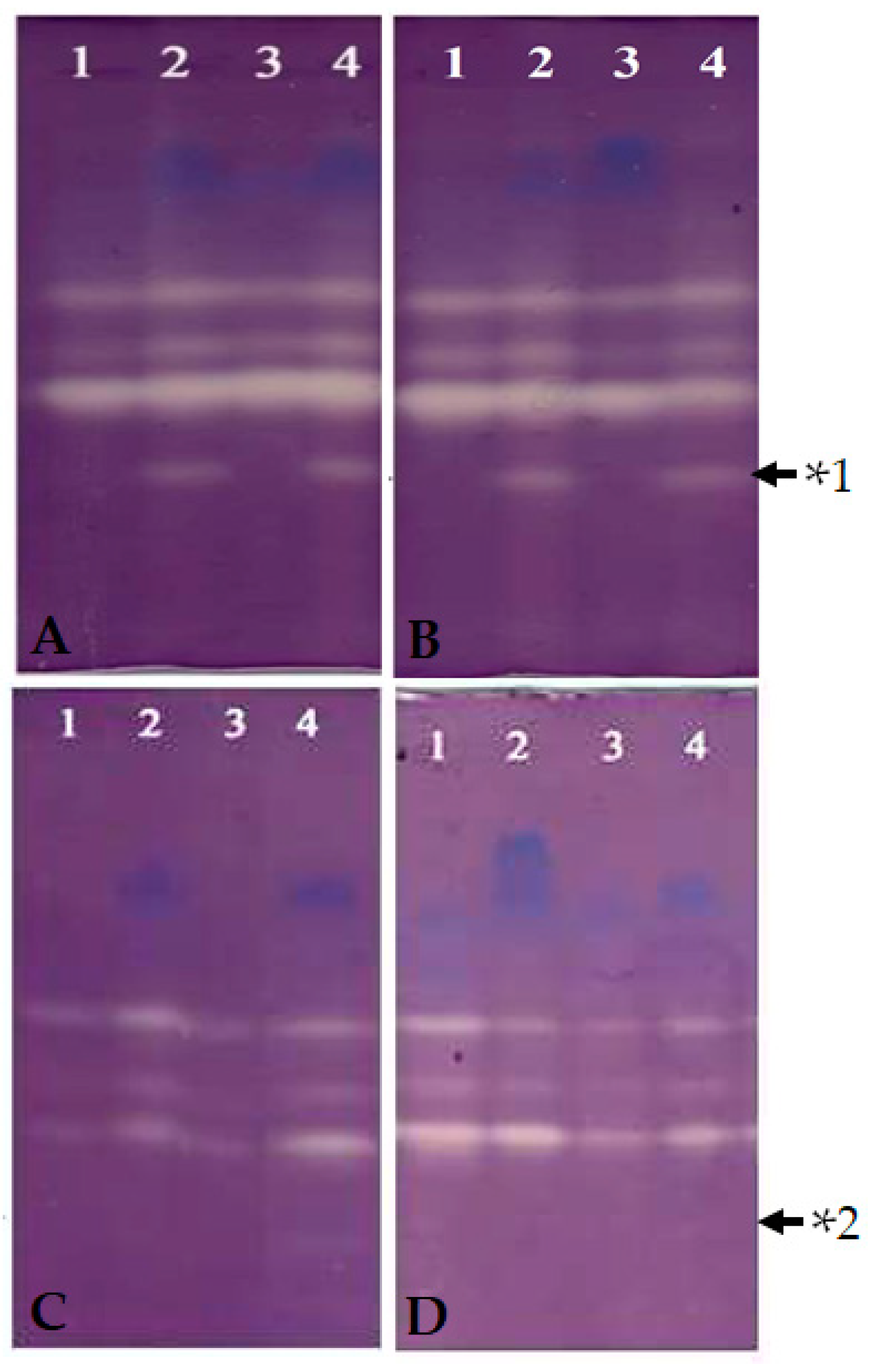 Biology 10 01313 g003