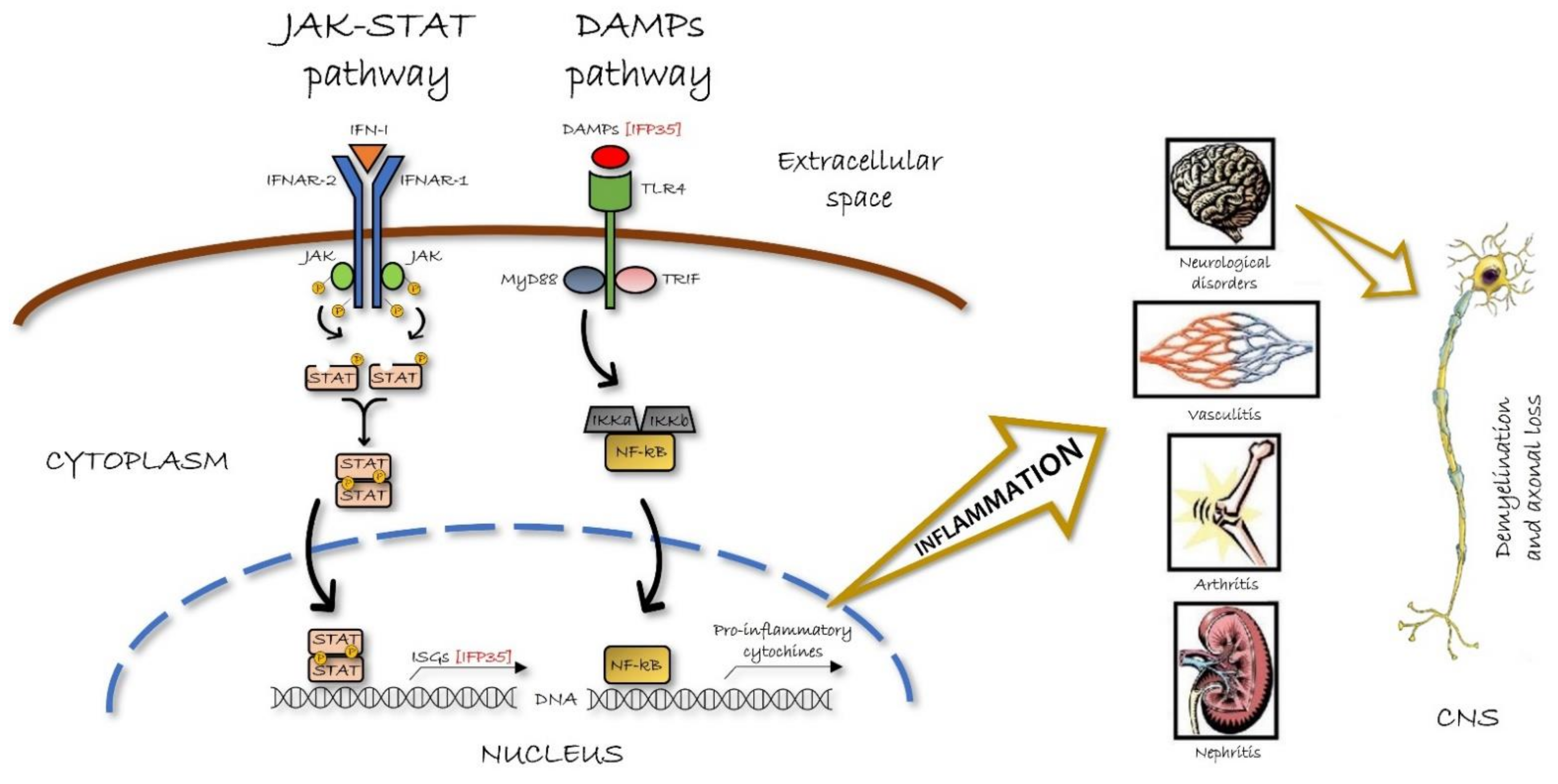Biology 10 01325 g003