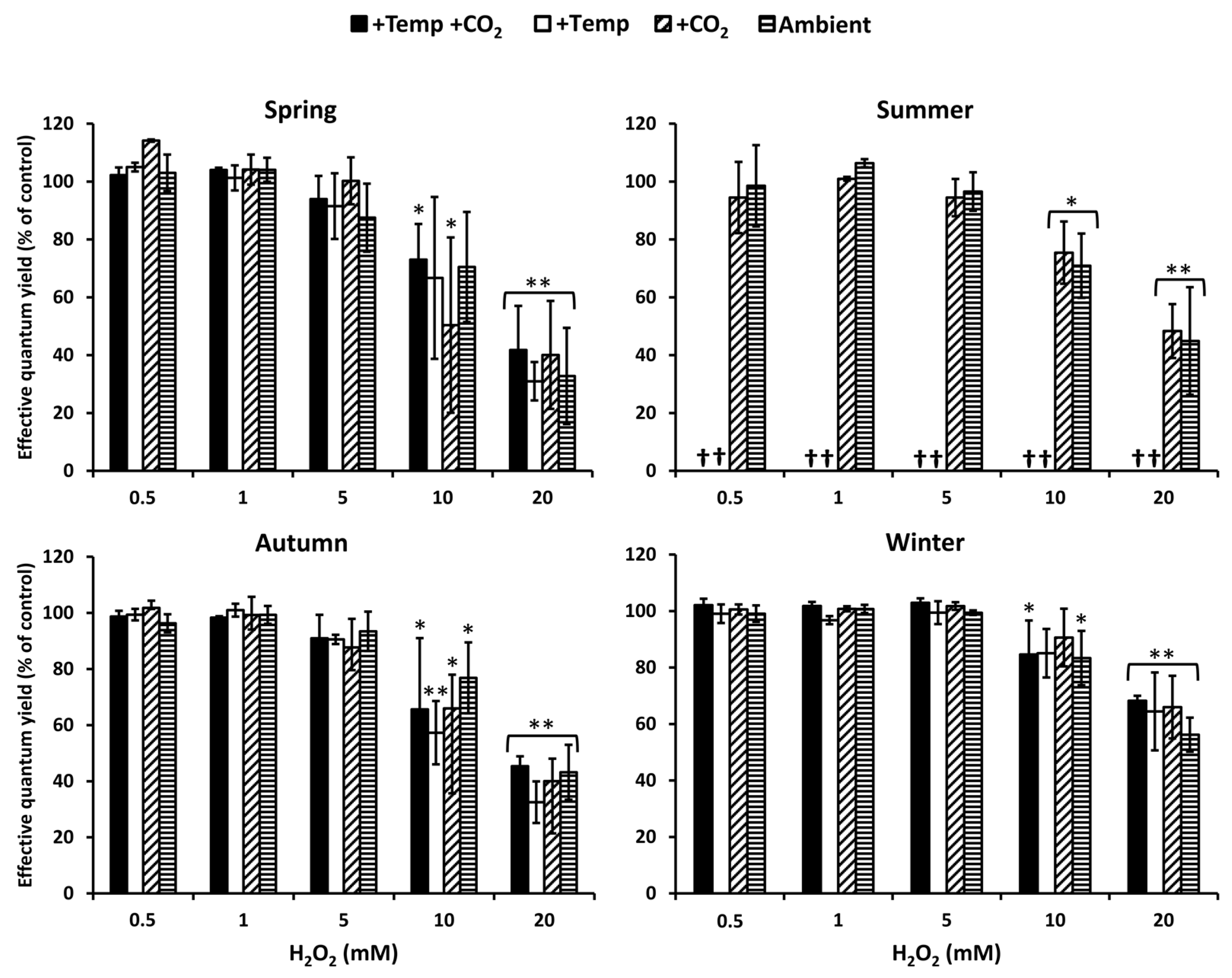 Biology 10 01330 g002