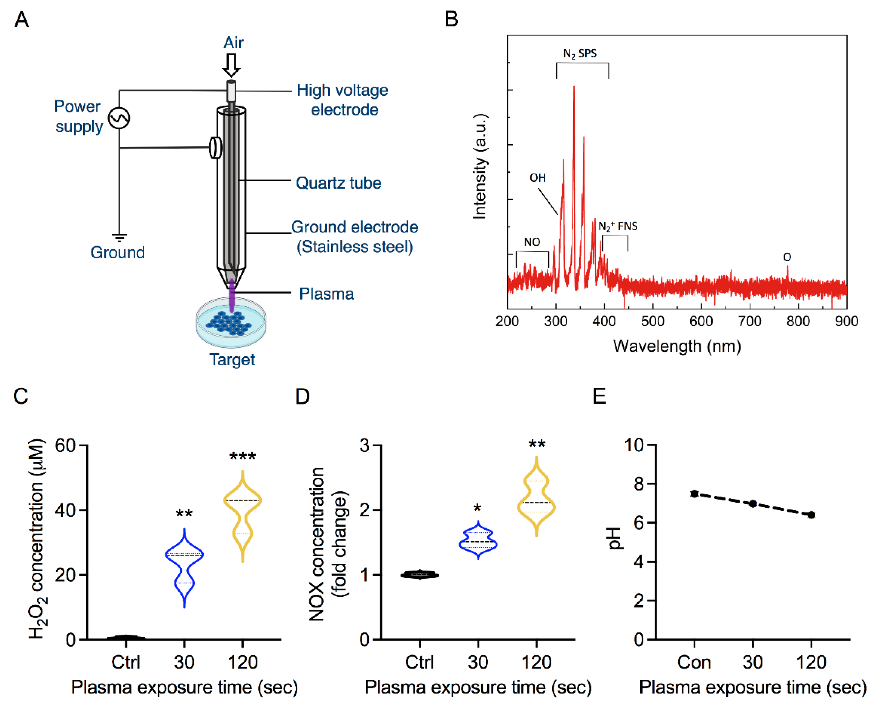 Biology 10 01338 g002