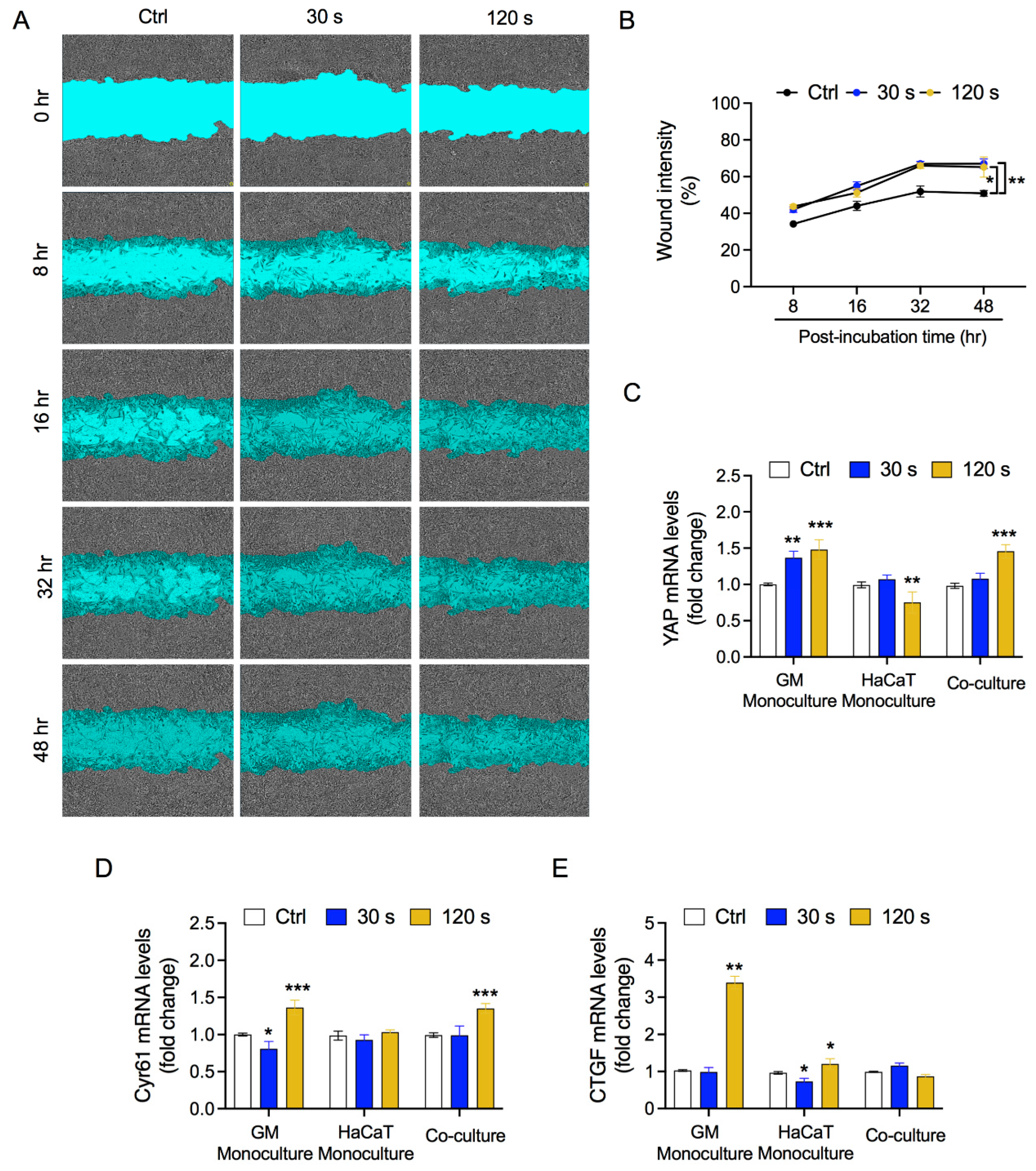 Biology 10 01338 g005