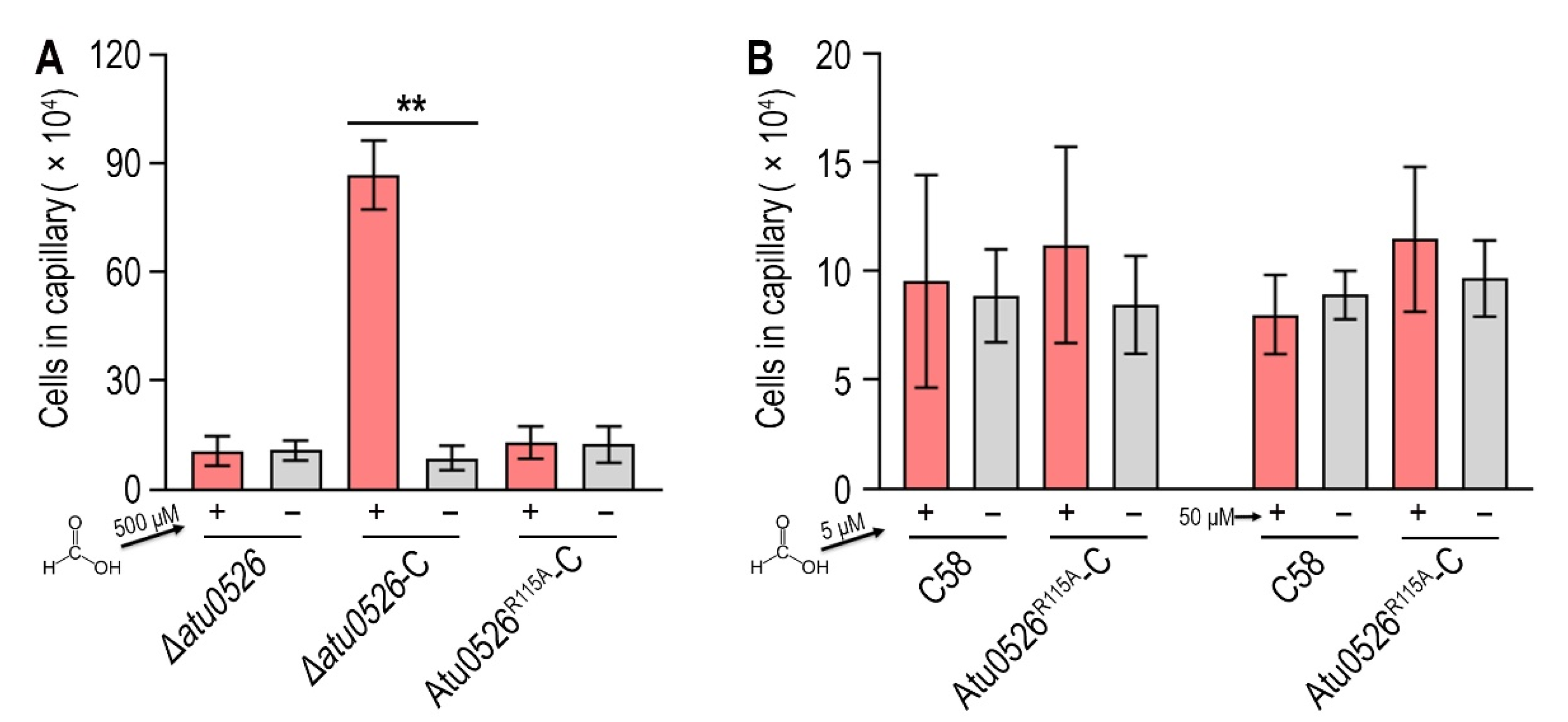 Biology 10 01345 g007 Biology 10 01345 g007