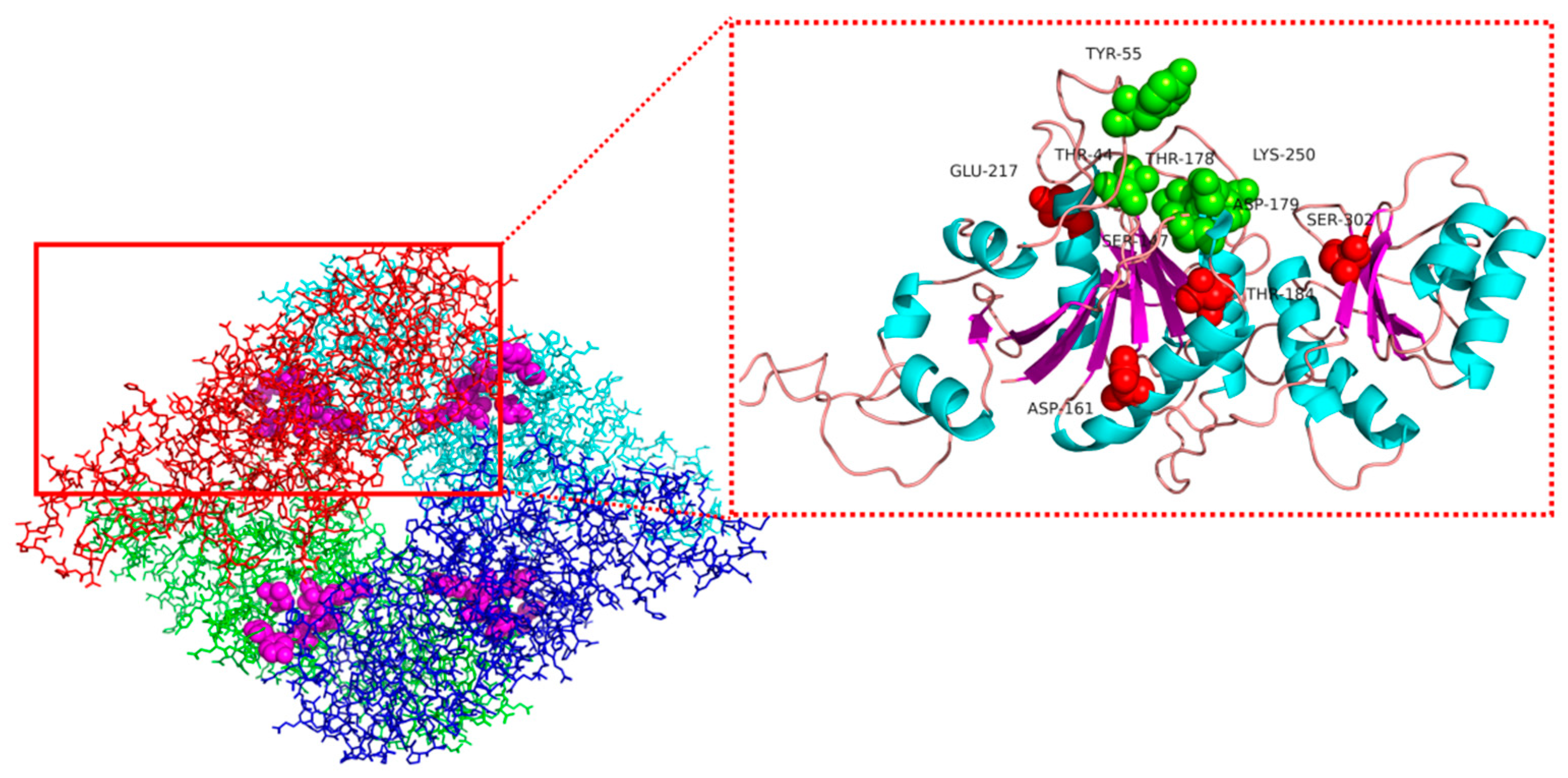 Biology 10 01346 g002