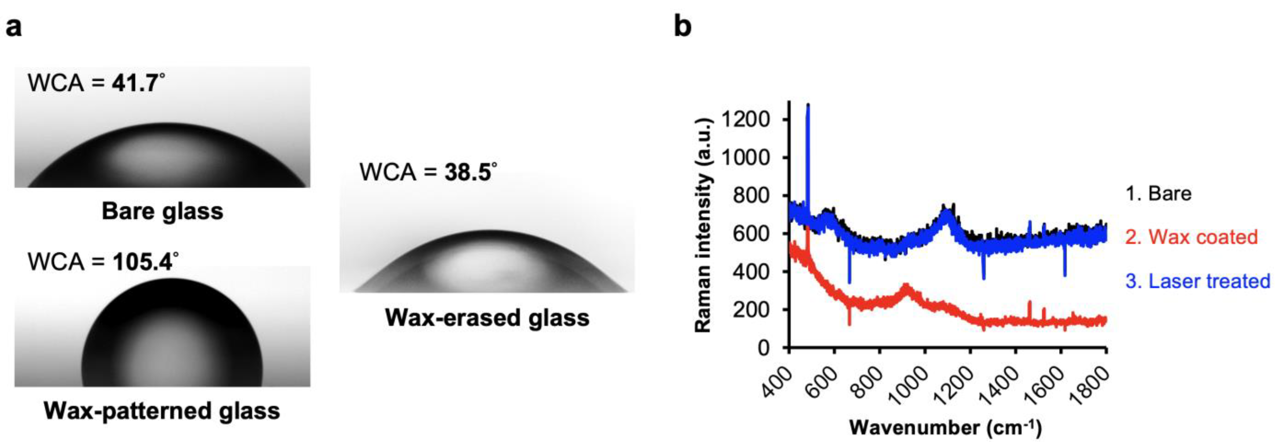 Biology 11 00004 g002