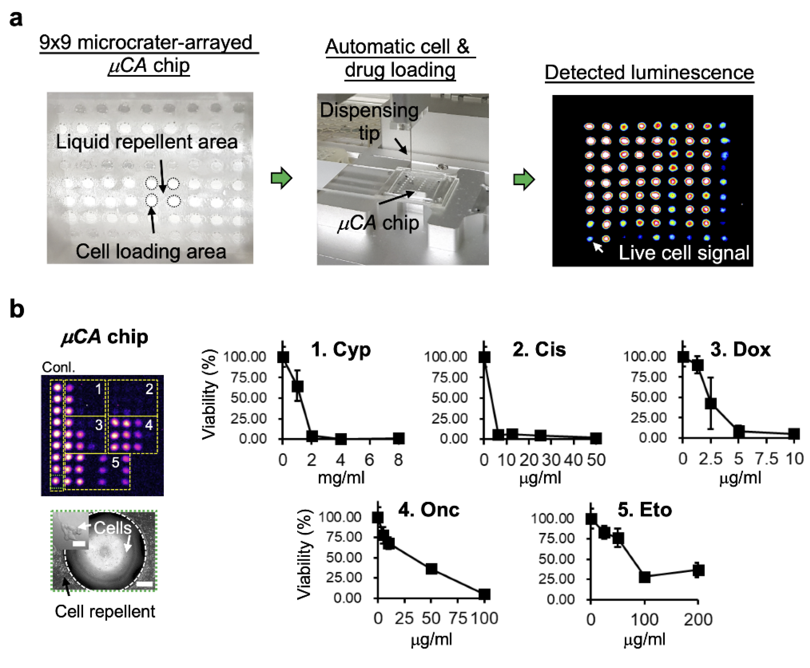 Biology 11 00004 g003