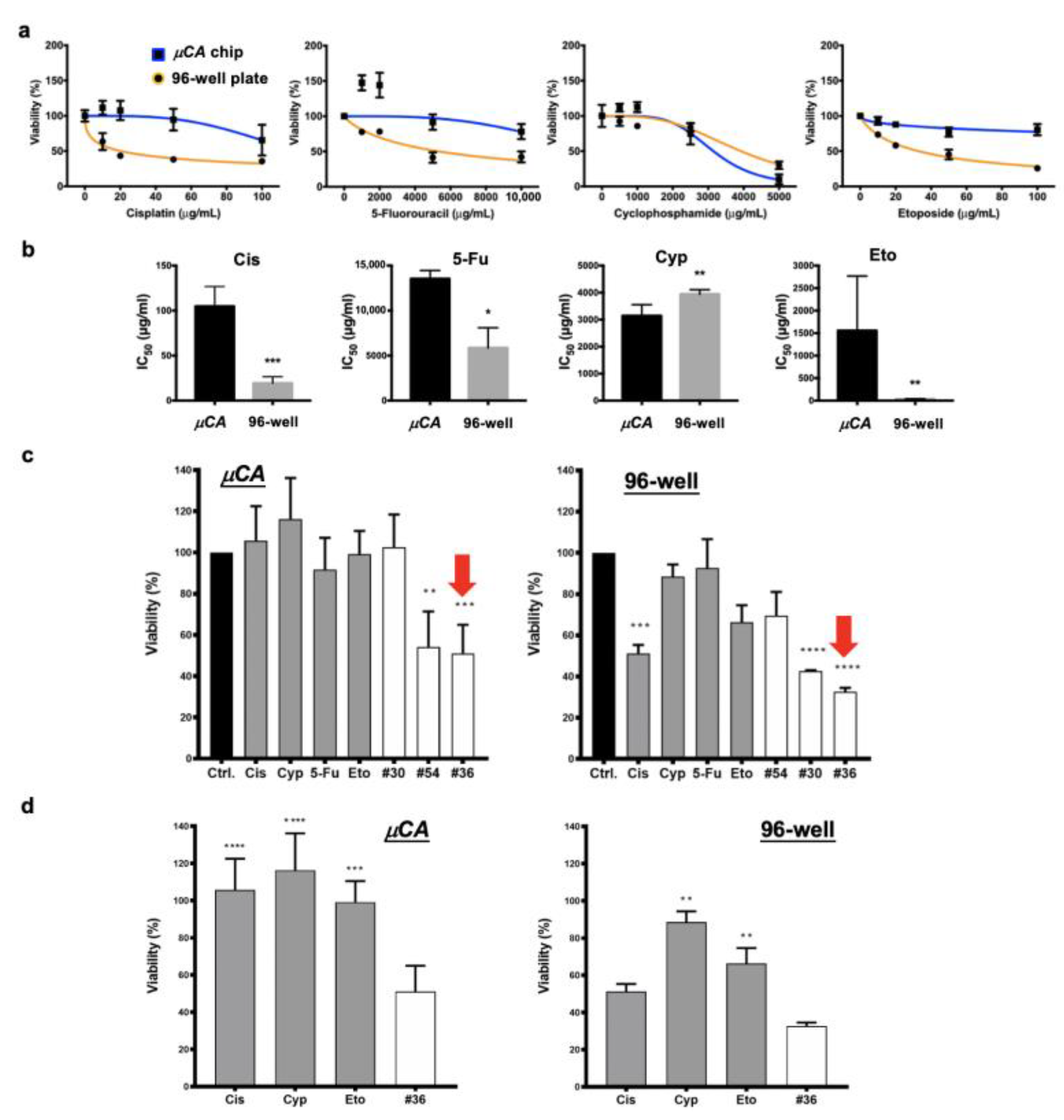 Biology 11 00004 g004