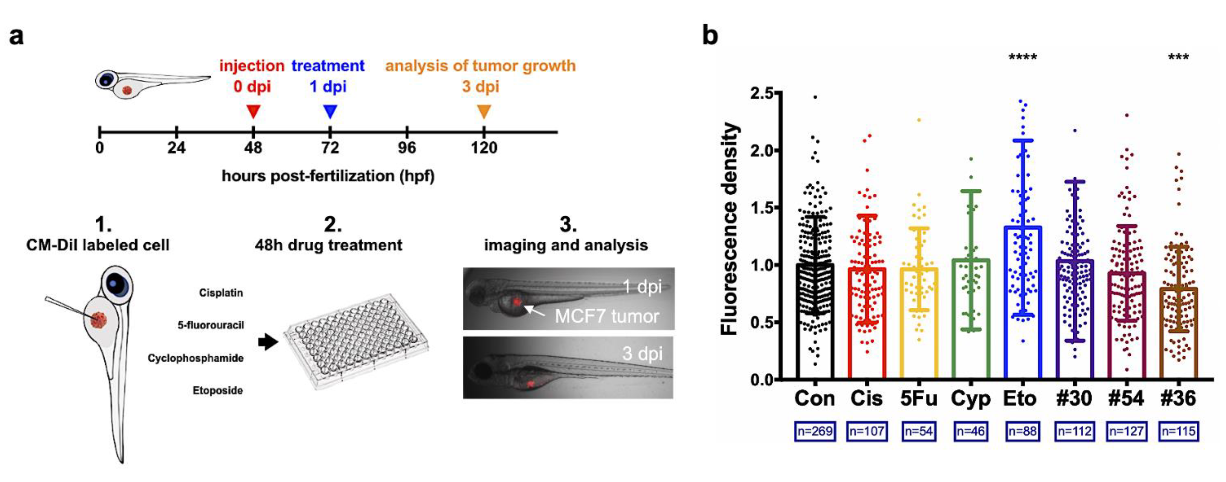 Biology 11 00004 g005