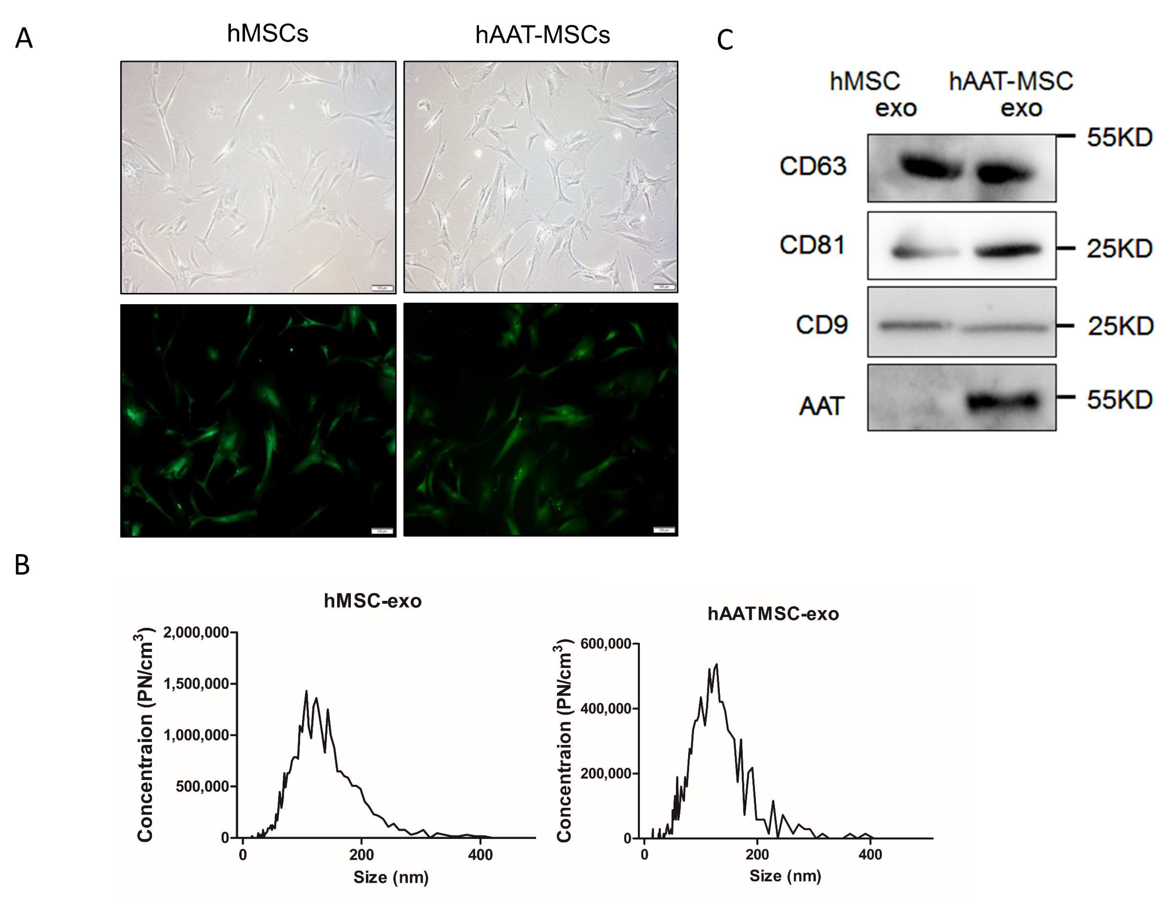 Biology 11 00009 g001