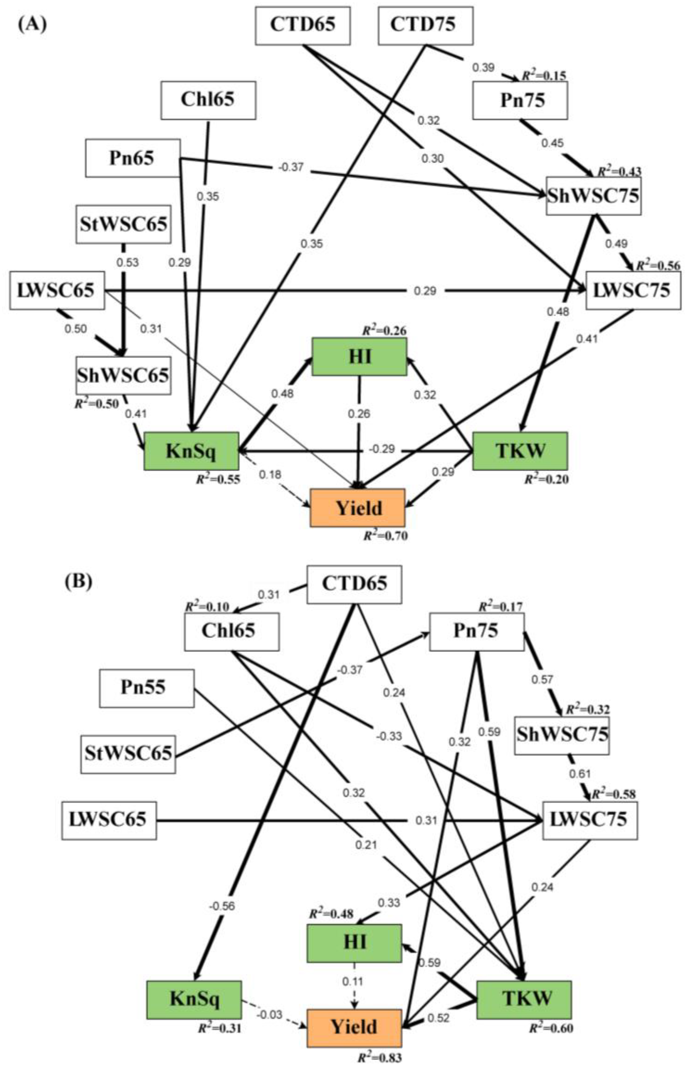 Biology 11 00042 g005 Biology 11 00042 g005