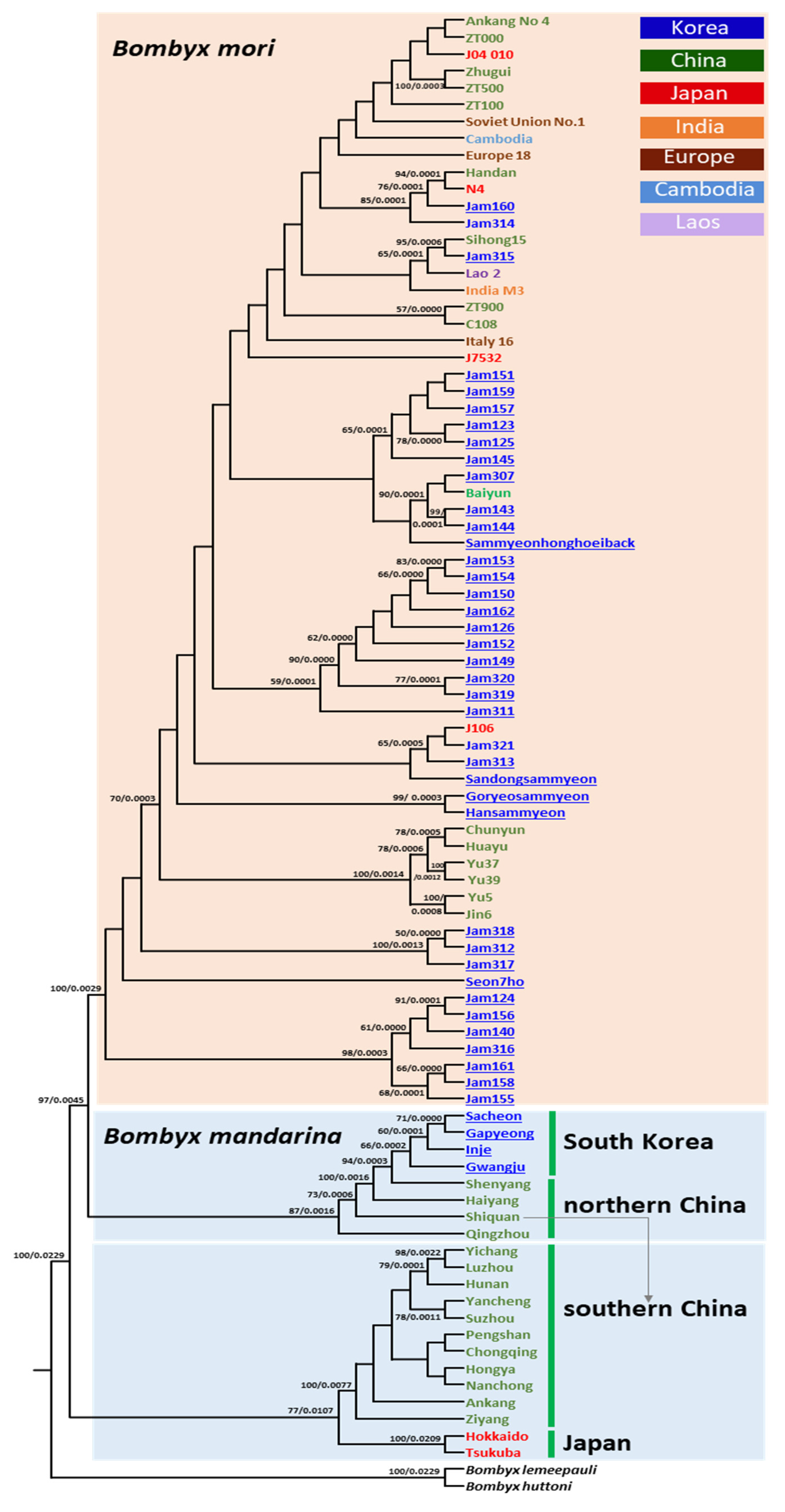 Biology 11 00068 g006