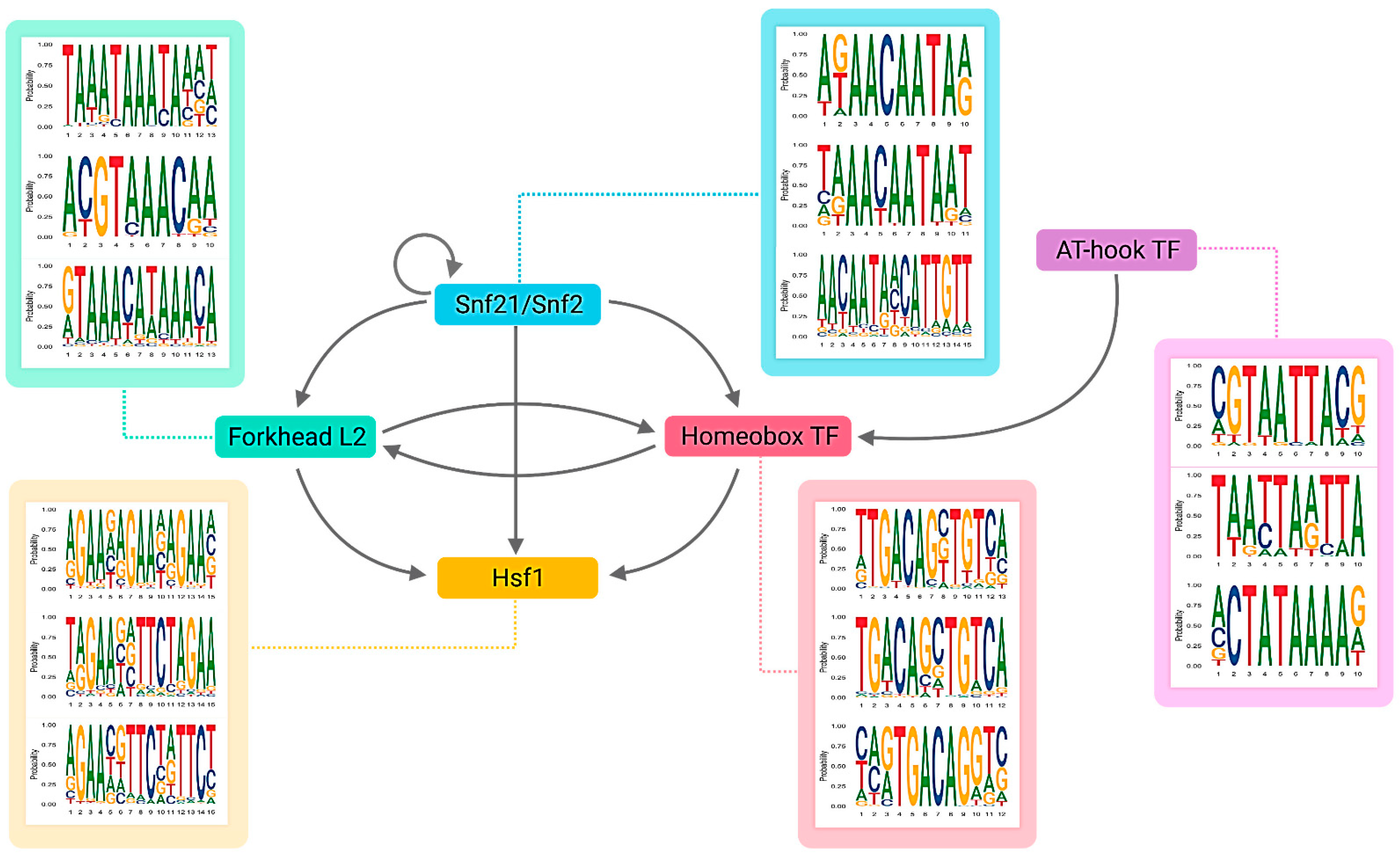 Biology 11 00071 g004